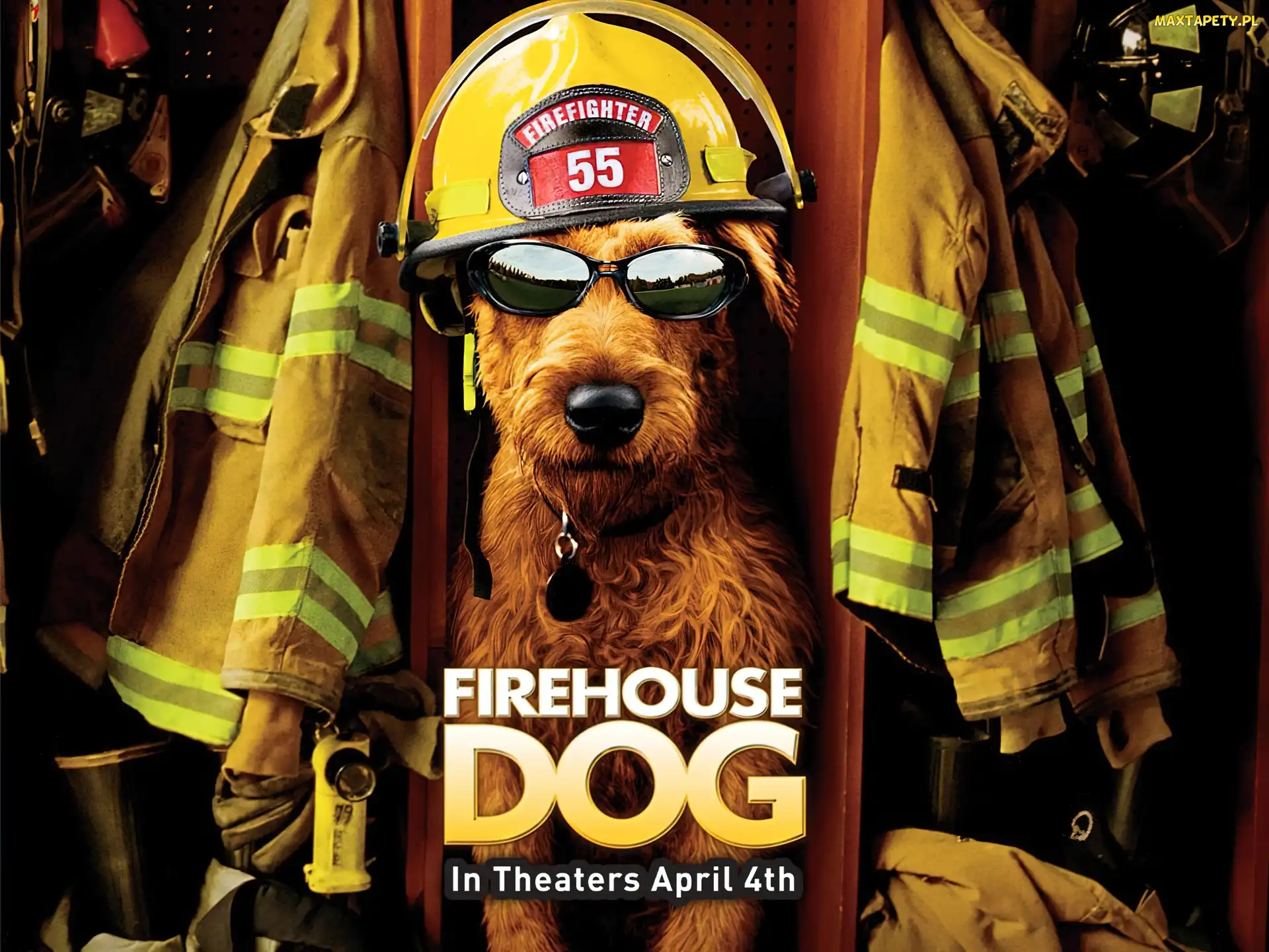pies, strażak, Firehouse Dog