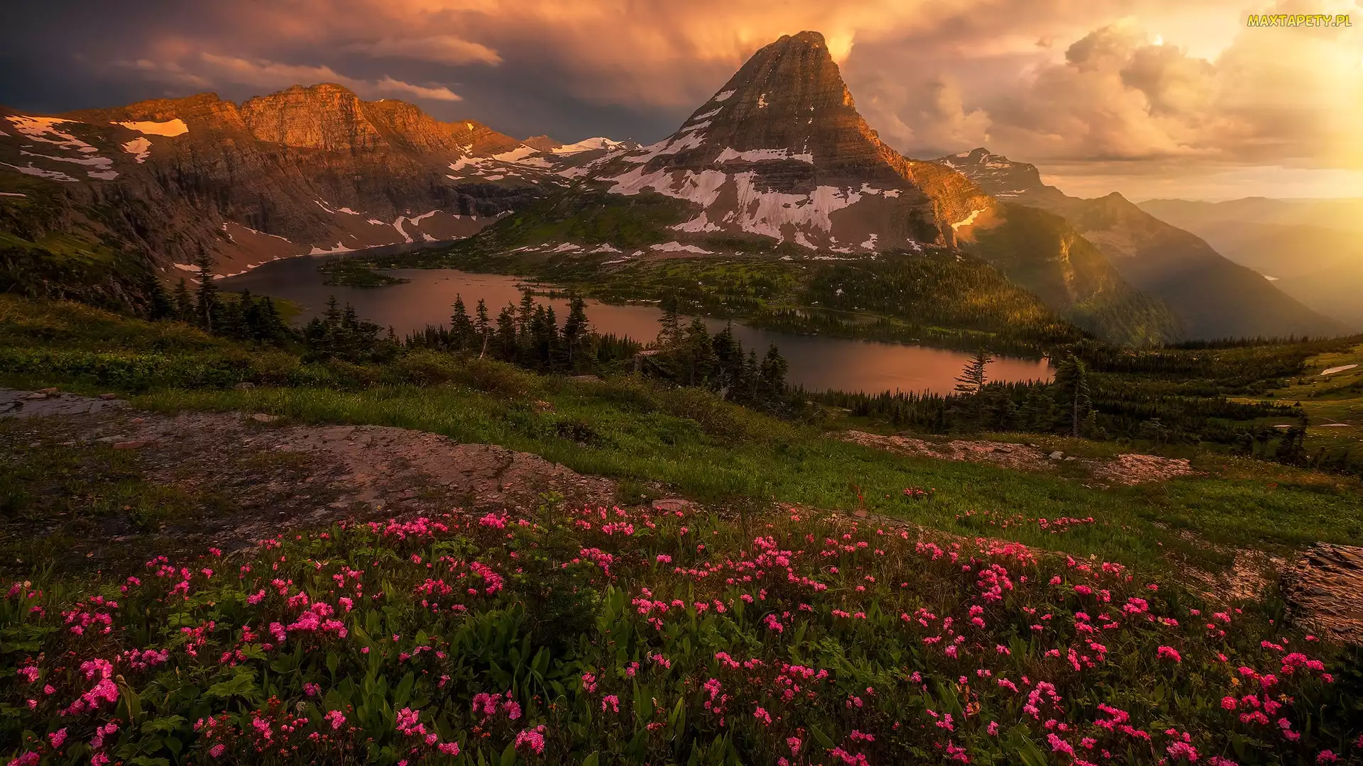 Stany Zjednoczone, Park Narodowy Glacier, Chmury, Montana, Jezioro, Lewis Range, Hidden Lake, Łąka, Góry, Kwiaty
