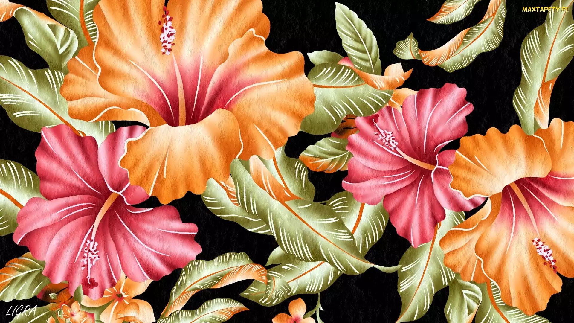Hibiskusy, 2D, Kwiaty