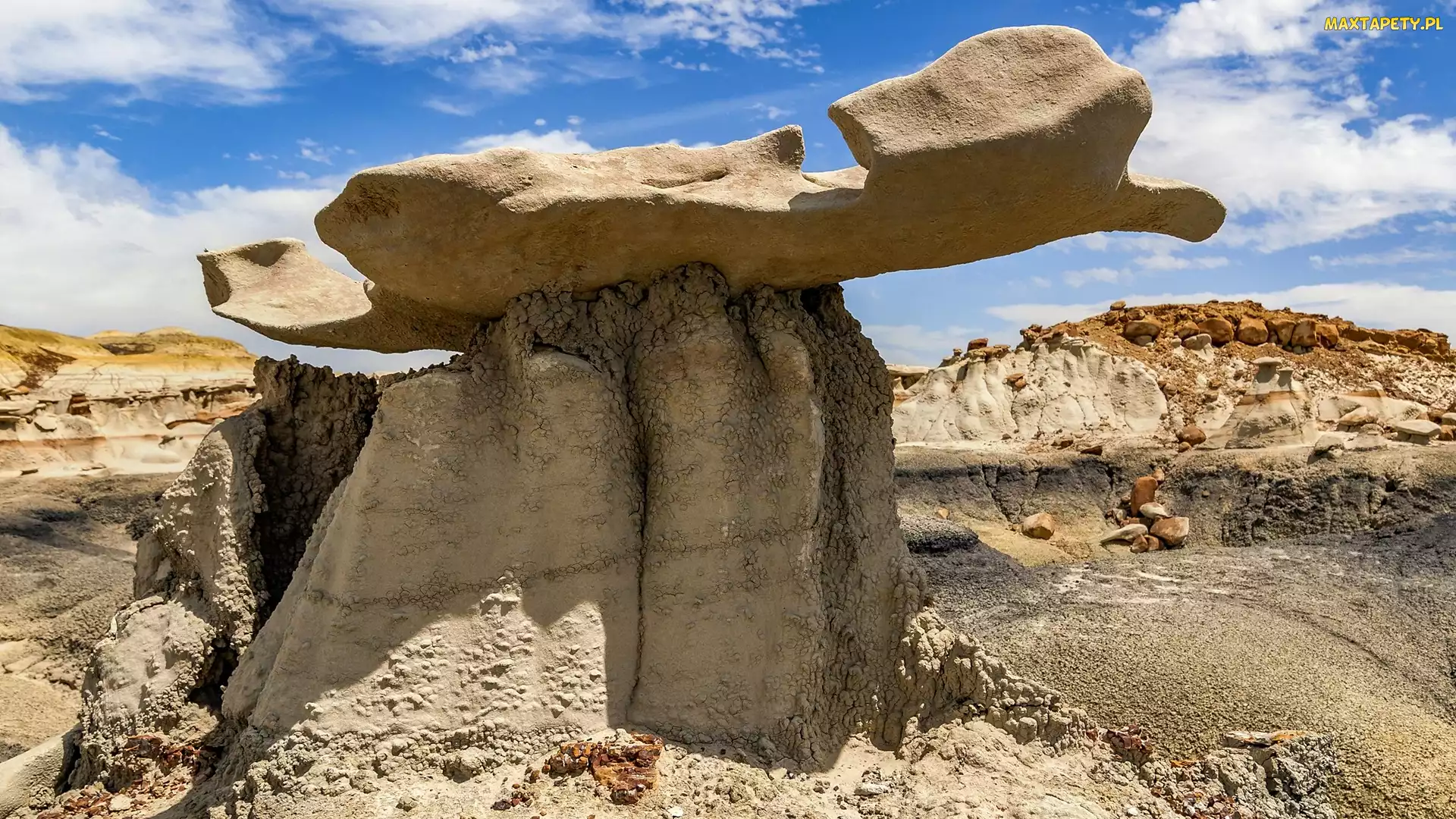 Skały, Stany Zjednoczone, Nowy Meksyk, Bisti Badlands, Formacje
