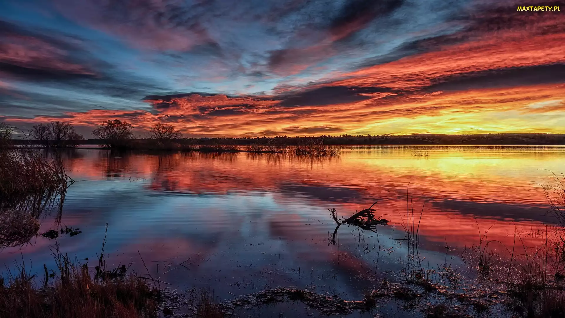Chmury, Wschód słońca, Chatfield State Park, Lake Chatfield, Kolorado, Jezioro, Stany Zjednoczone, Drzewa