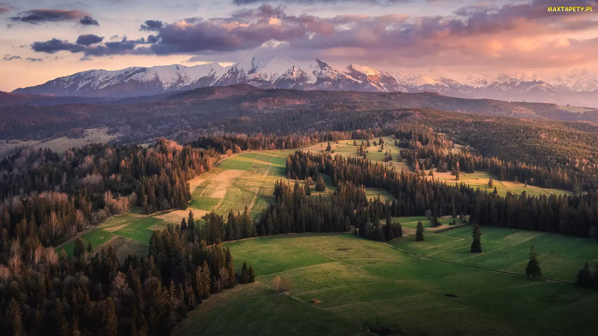 Drzewa, Polska, Tatry, Góry, Wiosna