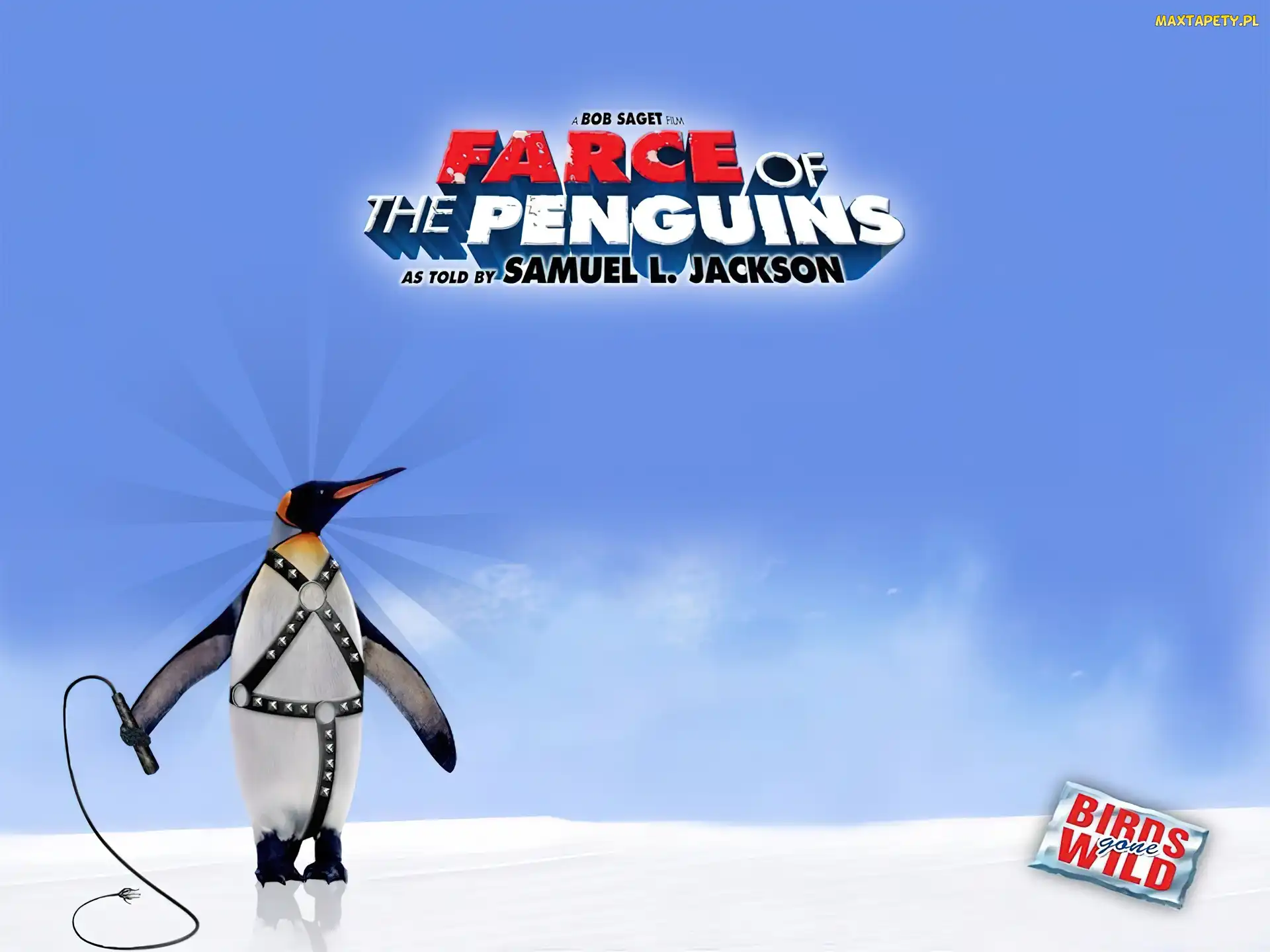 pingwin, pejcz, Farce Of The Penguins