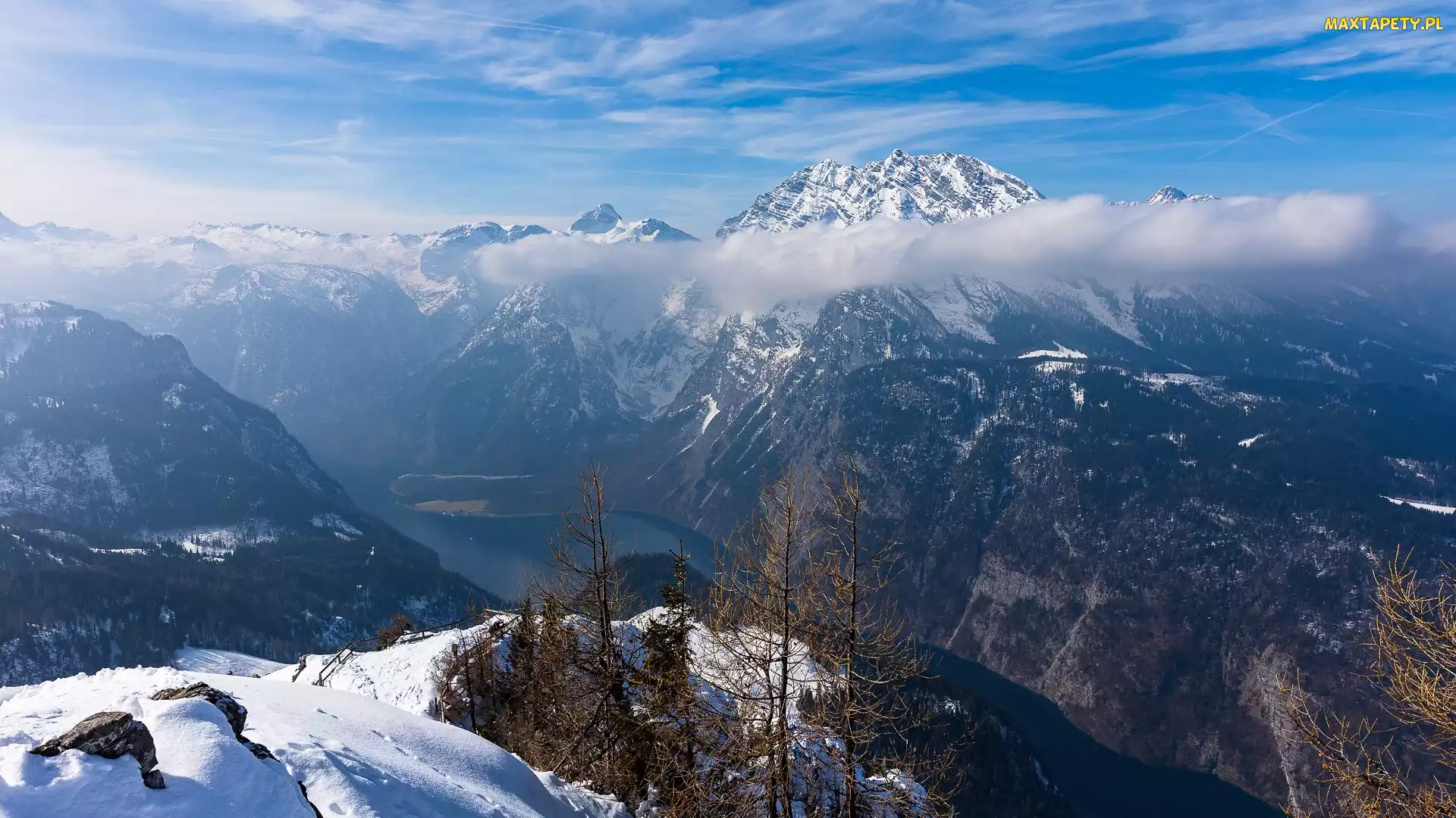 Niemcy, Drzewa, Góry, Zima, Alpy Berchtesgadeńskie, Śnieg
