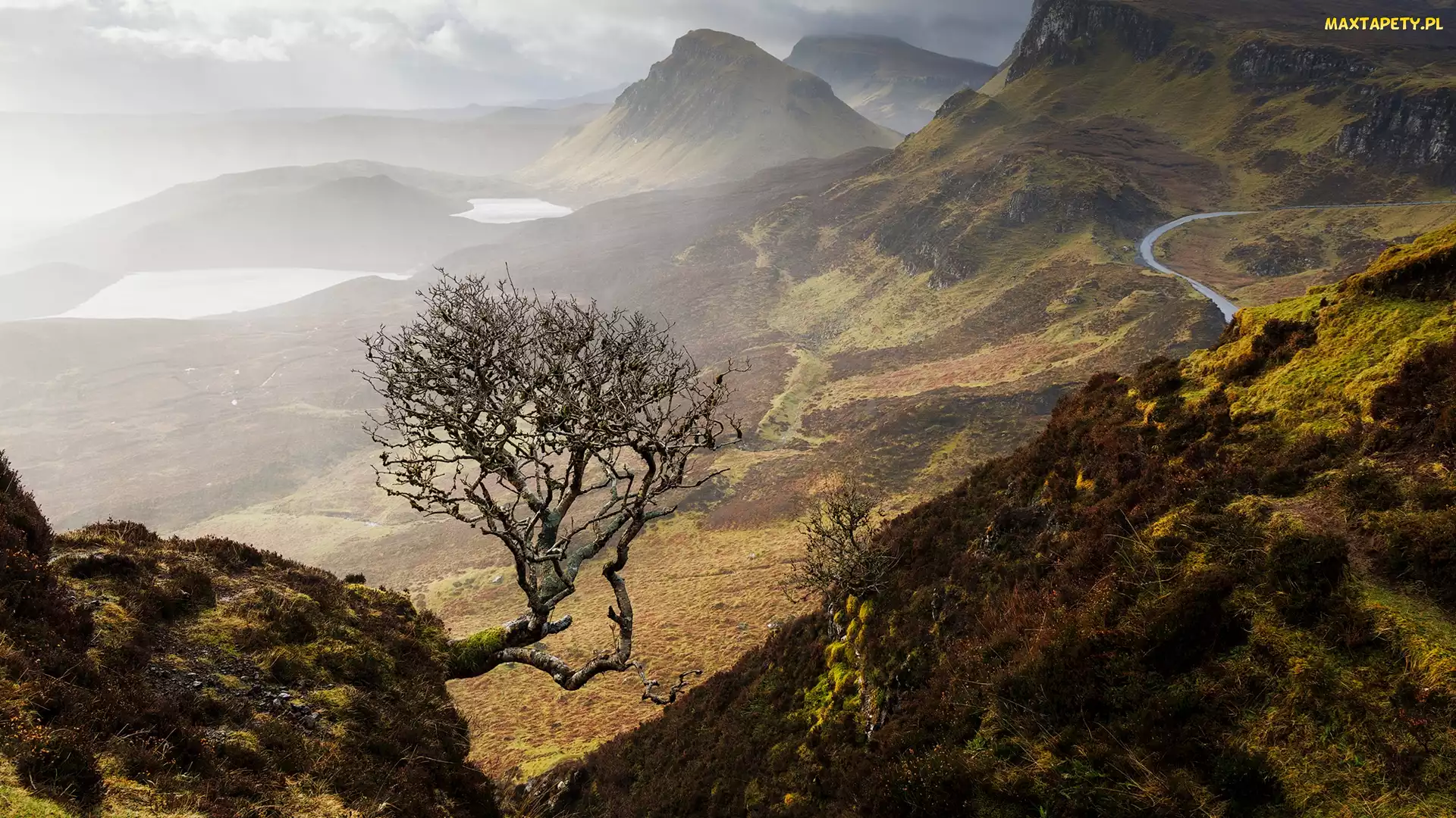 Szkocja, Wyspa, Quiraing, Skye, Drzewo, Skały, Jezioro, Mgła, Góry, Wzgórza