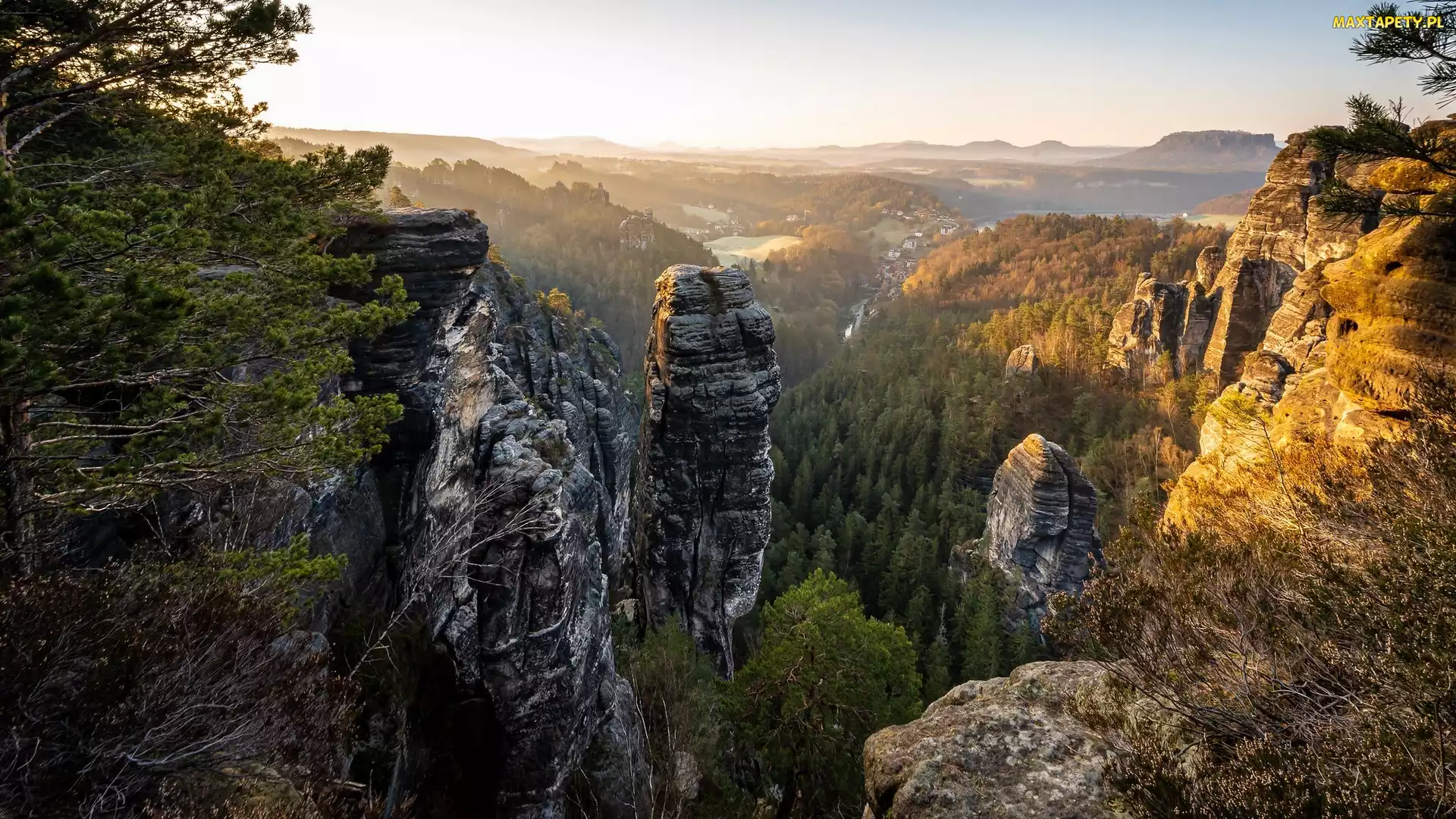 Góry Połabskie, Niemcy, Park Narodowy Saskiej Szwajcarii, Drzewa, Skały