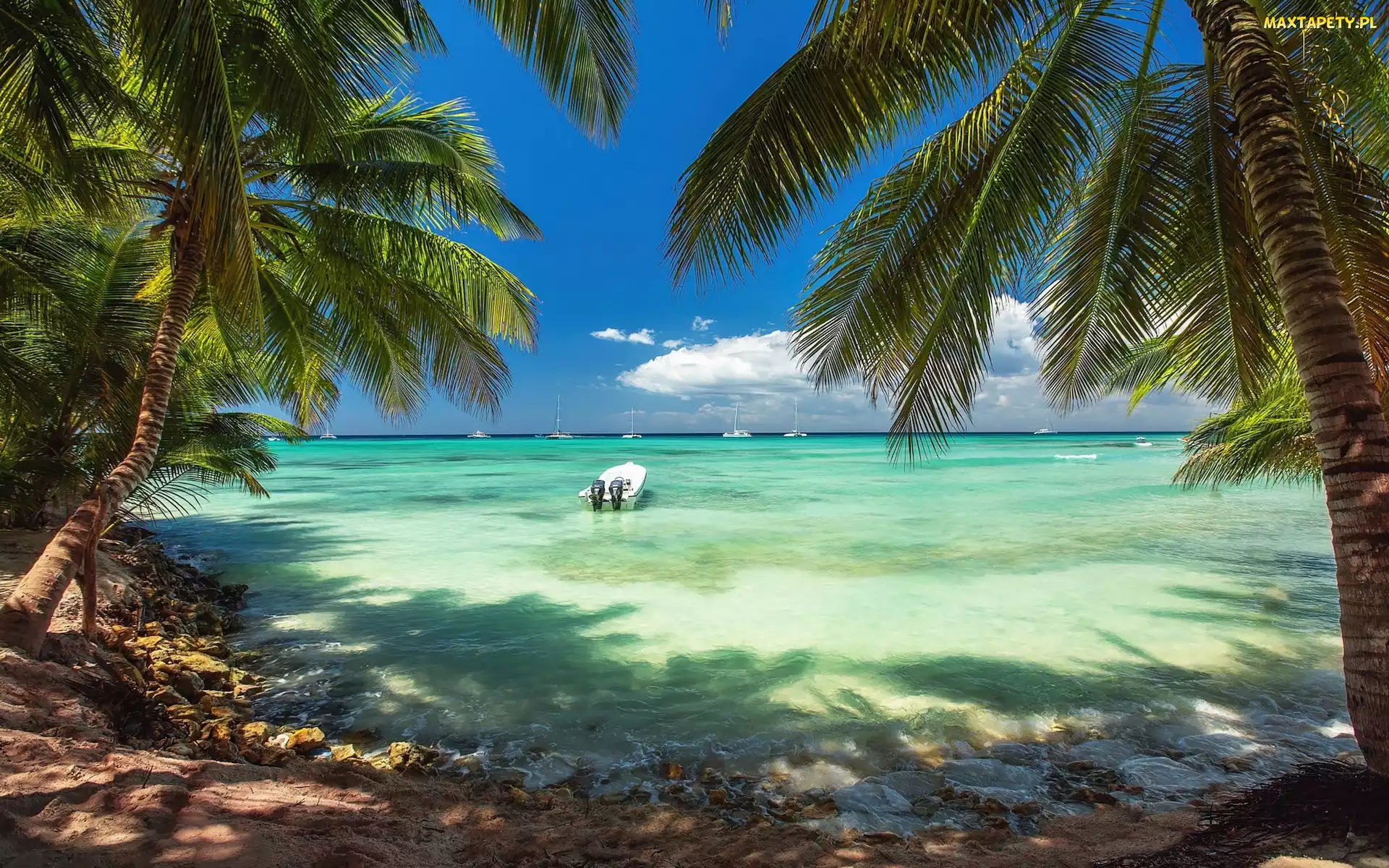 Palmy, Morze, Dominikana, Łodzie, Plaża, Karaiby, Punta Cana
