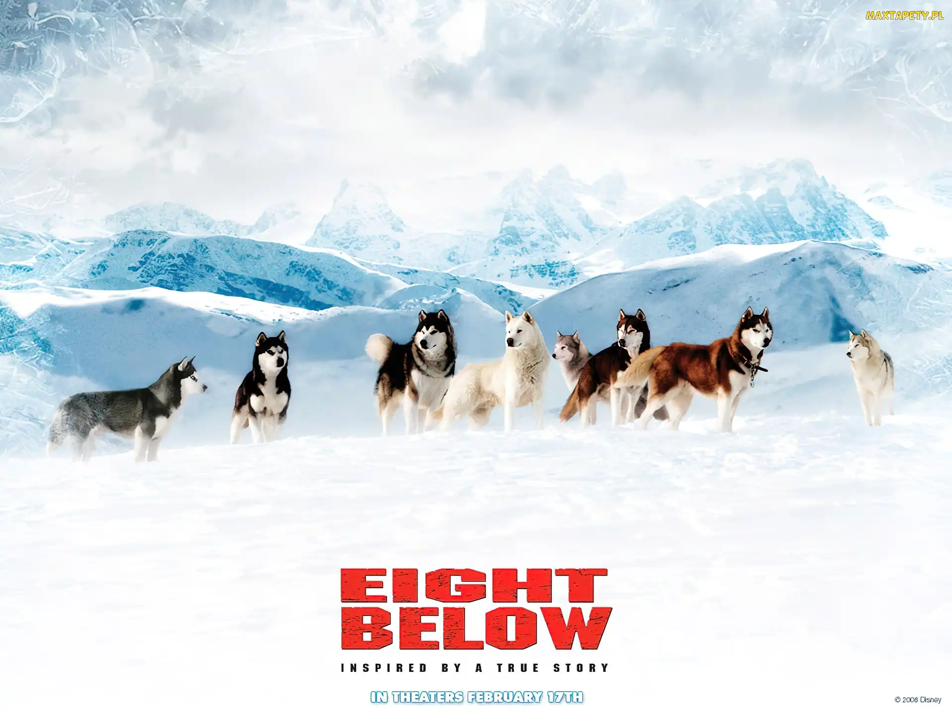Eight Below, Antarktyda