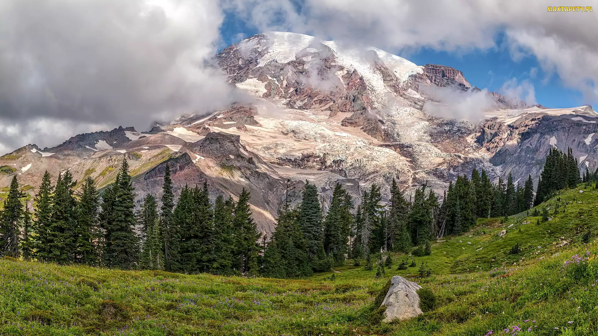 Stany Zjednoczone, Stan Waszyngton, Góra, Drzewa, Mount Rainier, Park Narodowy Mount Rainier, Szczyt