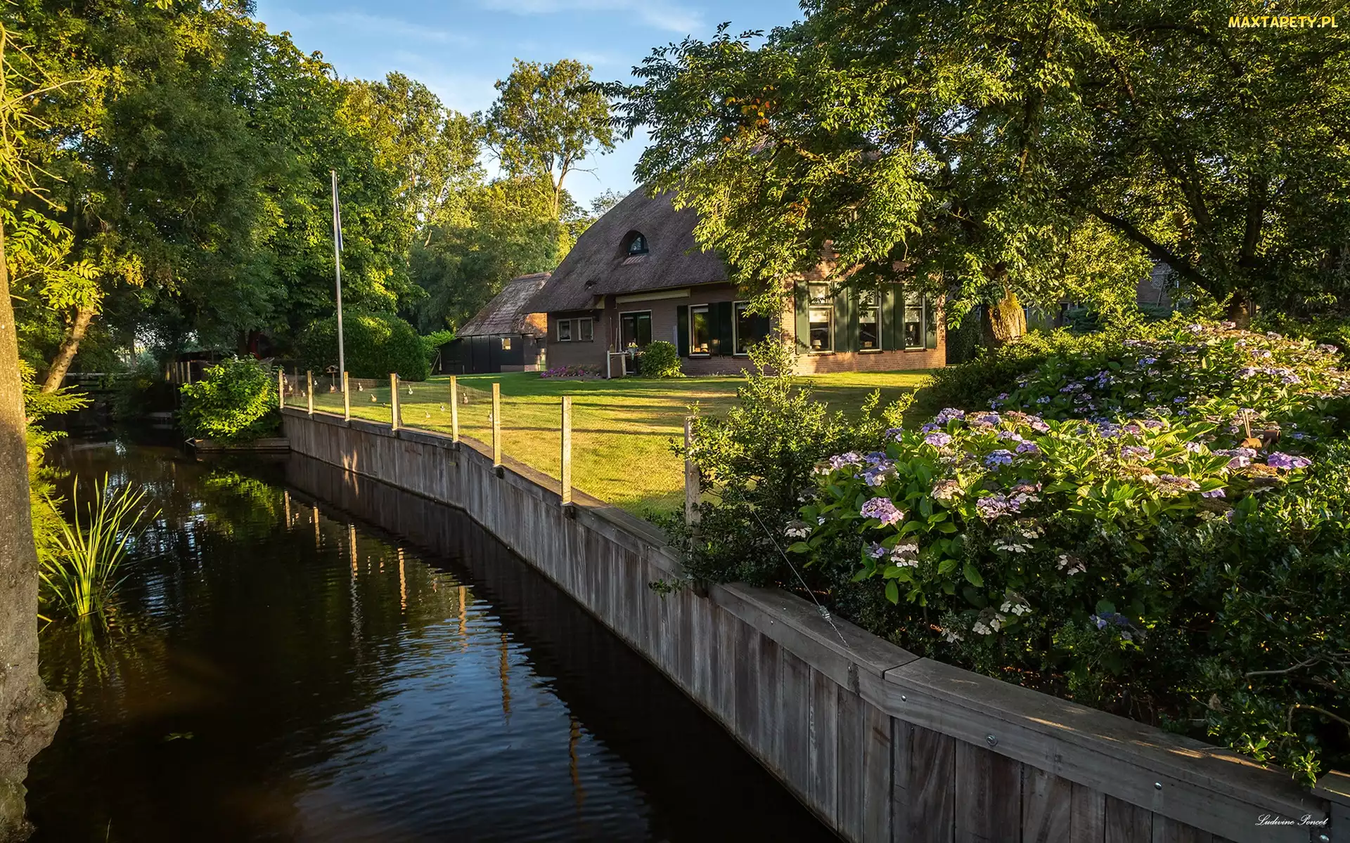 Rzeka, Kwiaty, Prowincja Overijssel, Dom, Drzewa, Holandia, Giethoorn