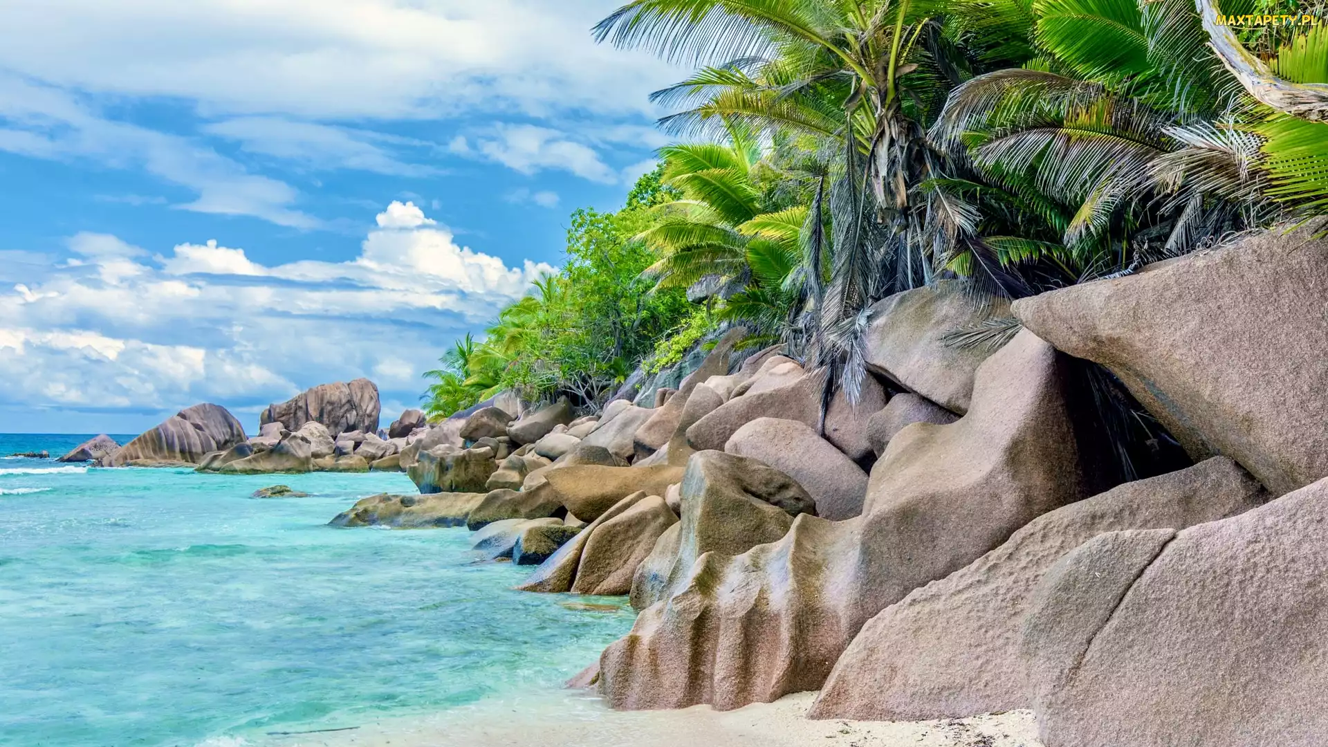 Palmy, Skały, Wyspa La Digue, Seszele, Plaża, Anse Cocos