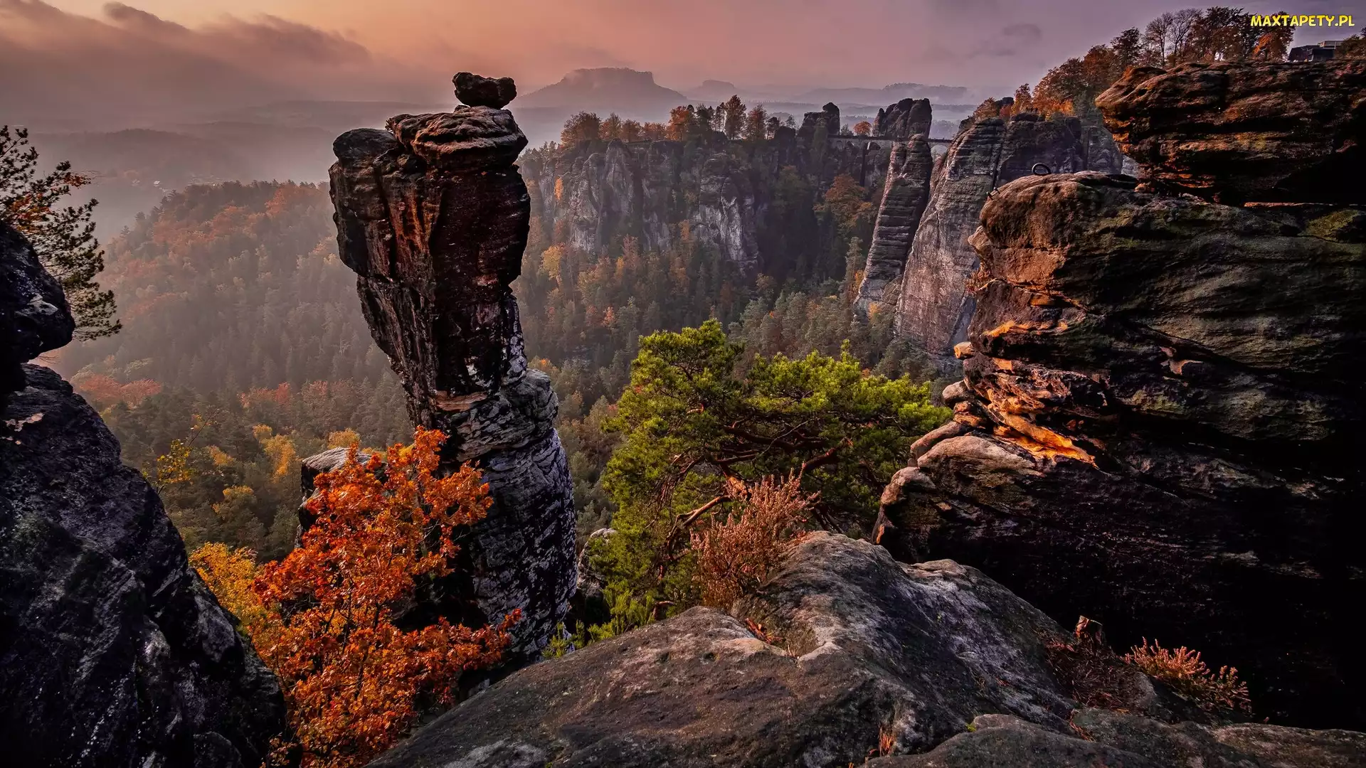 Park Narodowy Saskiej Szwajcarii, Drzewa, Bastei, Niemcy, Góry, Formacja skalna, Skały