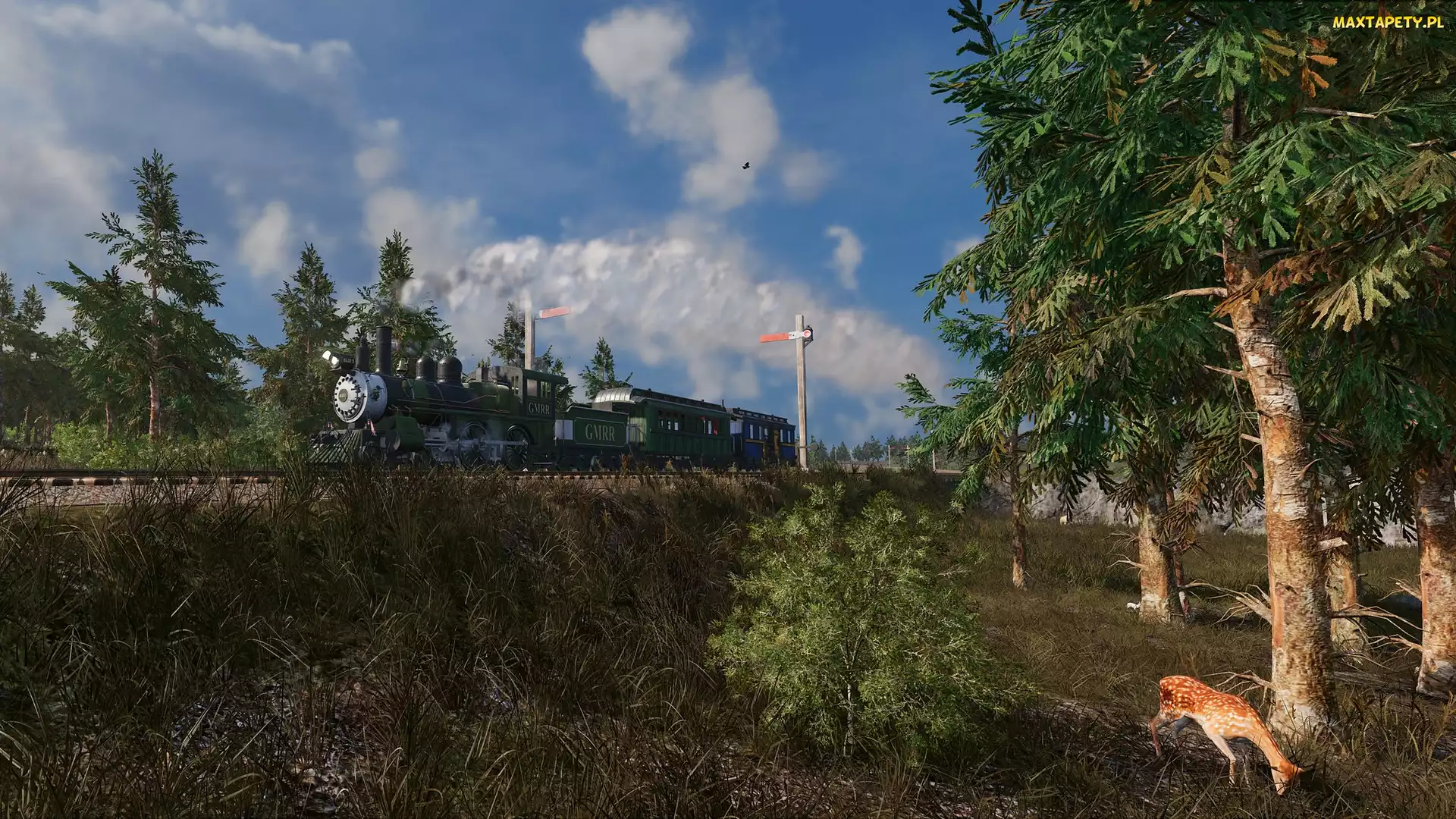 Gra, Sarna, Tory, Railway Empire 2, Drzewa, Pociąg, Las