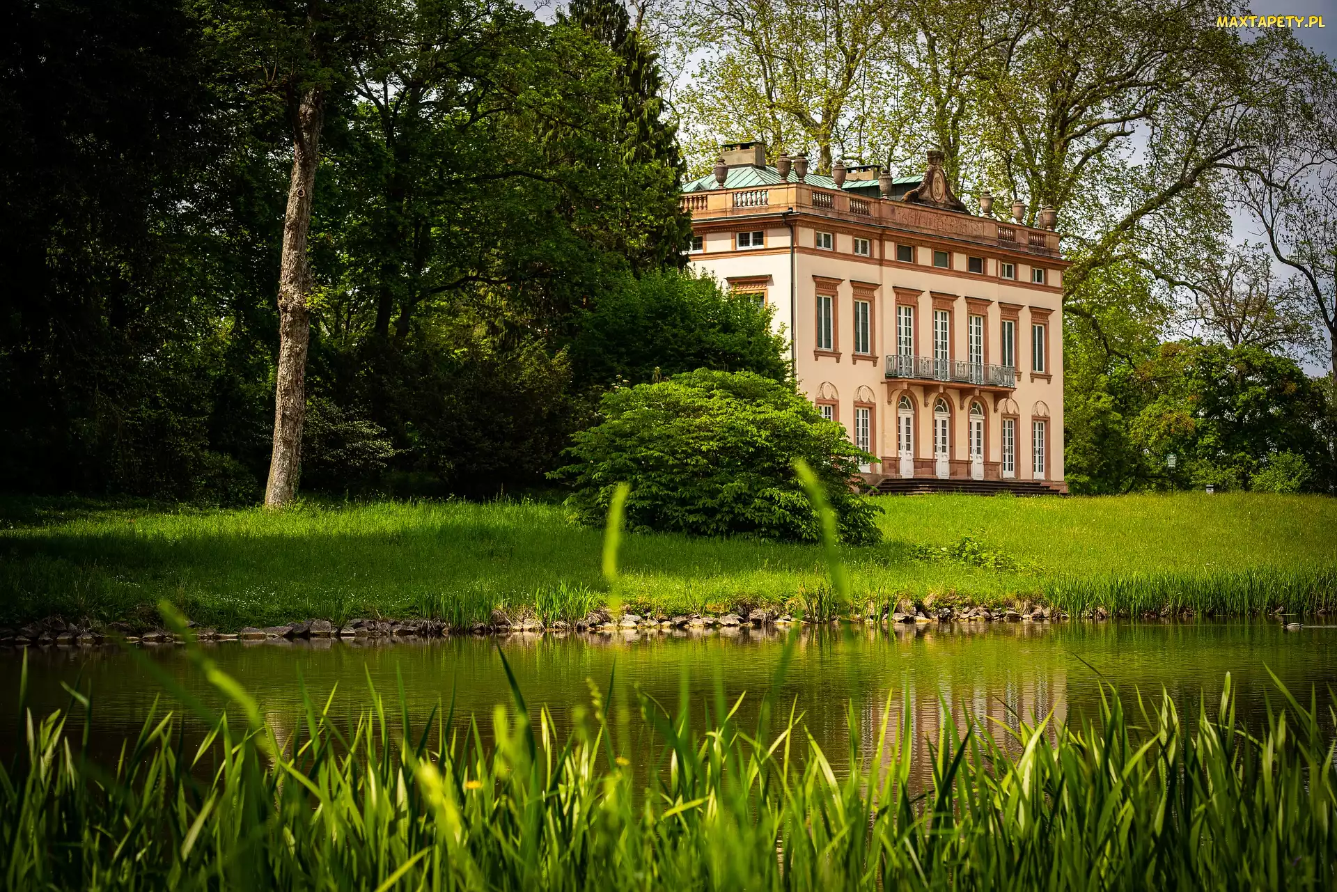 Niemcy, Aschaffenburg, Dolne Jezioro, Park, Zamek Schonbusch, Drzewa