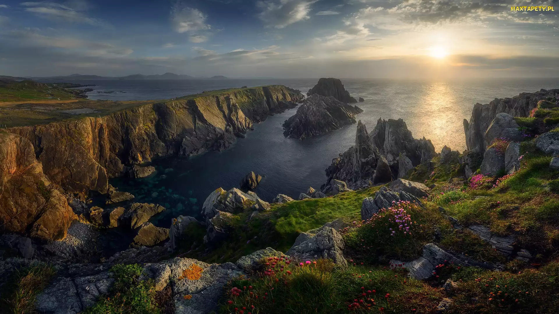 Morze, Trawy, Zachód słońca, Kwiaty, Przylądek Malin Head, Skały, Irlandia, Hrabstwo Donegal