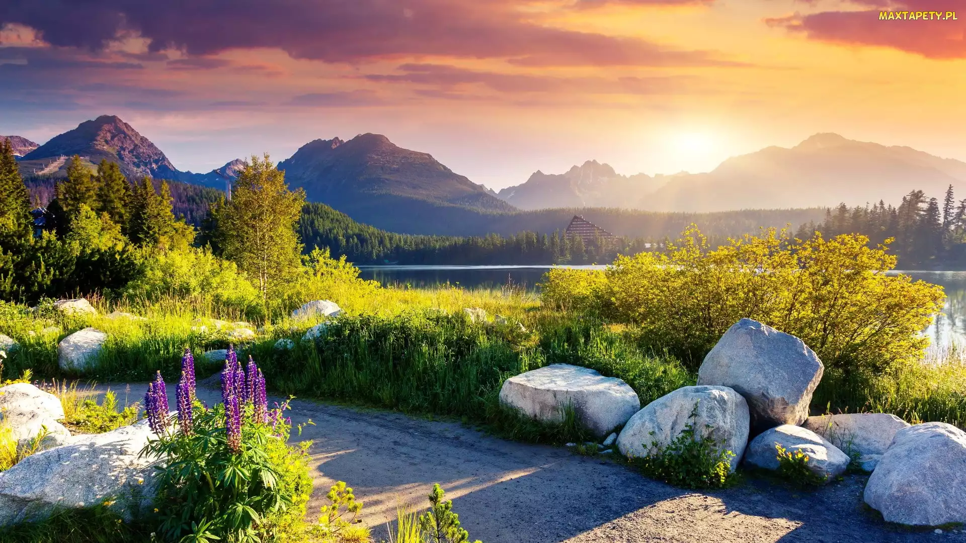Słowacja, Niebo, Kwiaty, Zachód słońca, Szczyrbskie Jezioro, Tatry Wysokie, Góry, Drzewa, Tatrzański Park Narodowy, Kamienie