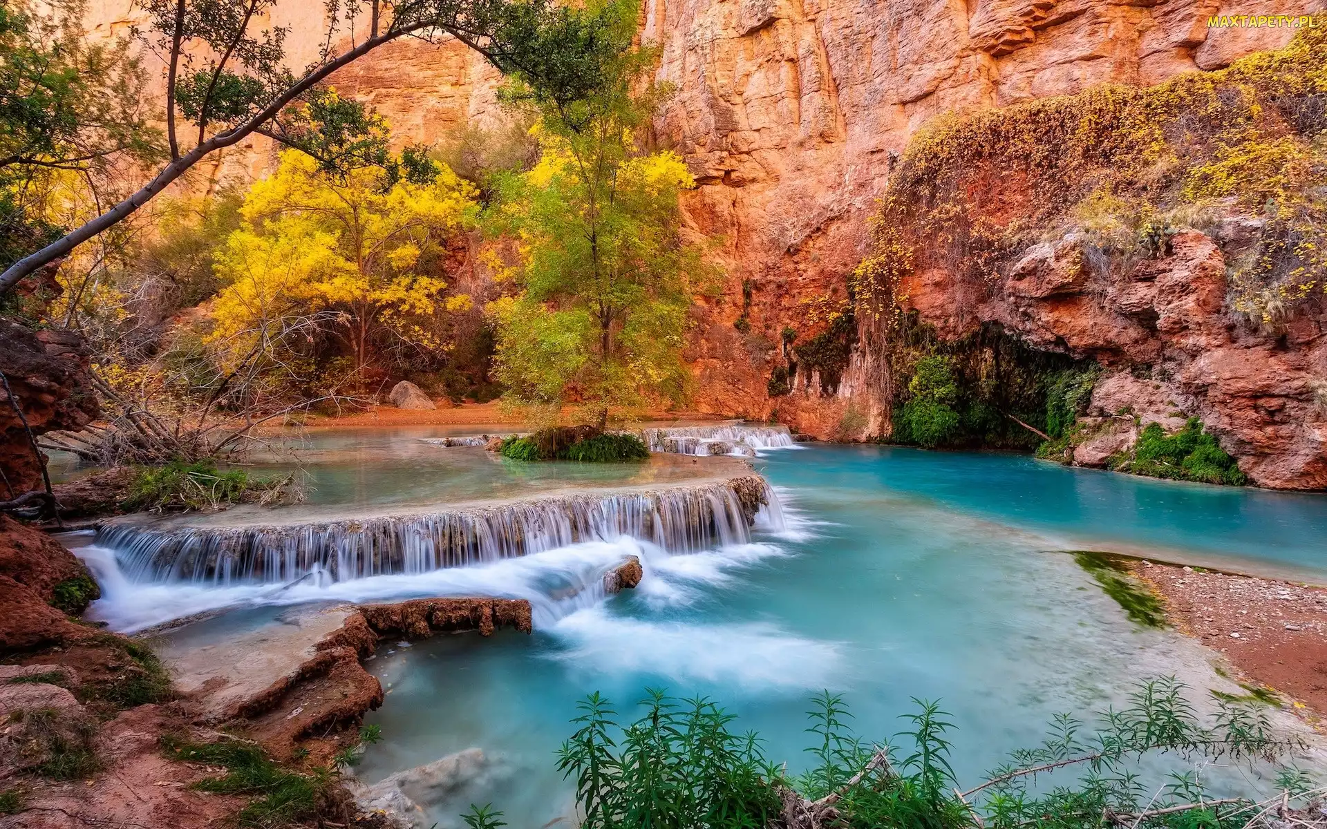 Rzeka, Kaskada, Park Narodowy Grand Canyon, Drzewa, Skały, Stany Zjednoczone, Havasupai Indian Reservation
