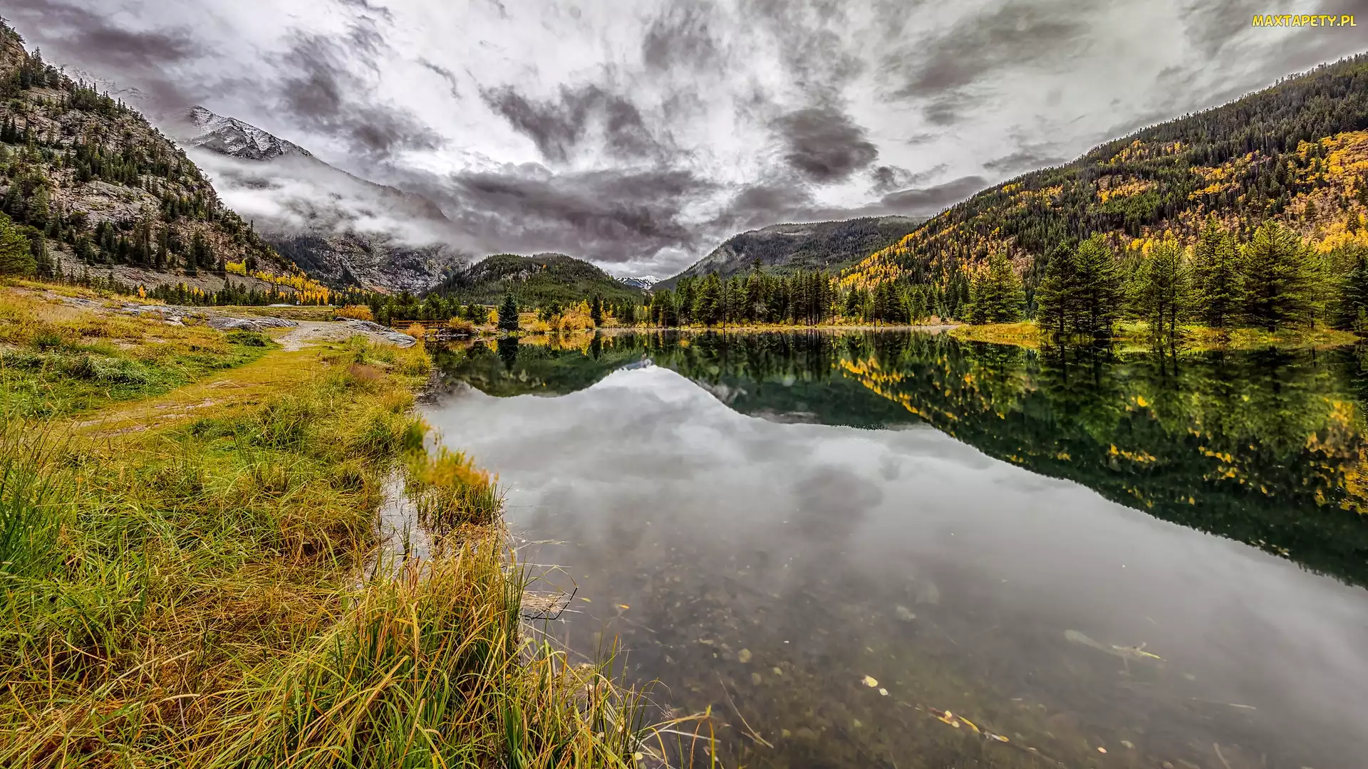 Stany Zjednoczone, Stan Kolorado, Jezioro, Góry Skaliste, Officers Gulch Pond, Drzewa