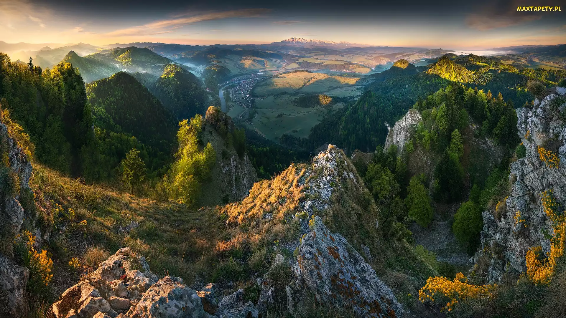 Las, Trawa, Mgła, Wschód słońca, Góry, Skały