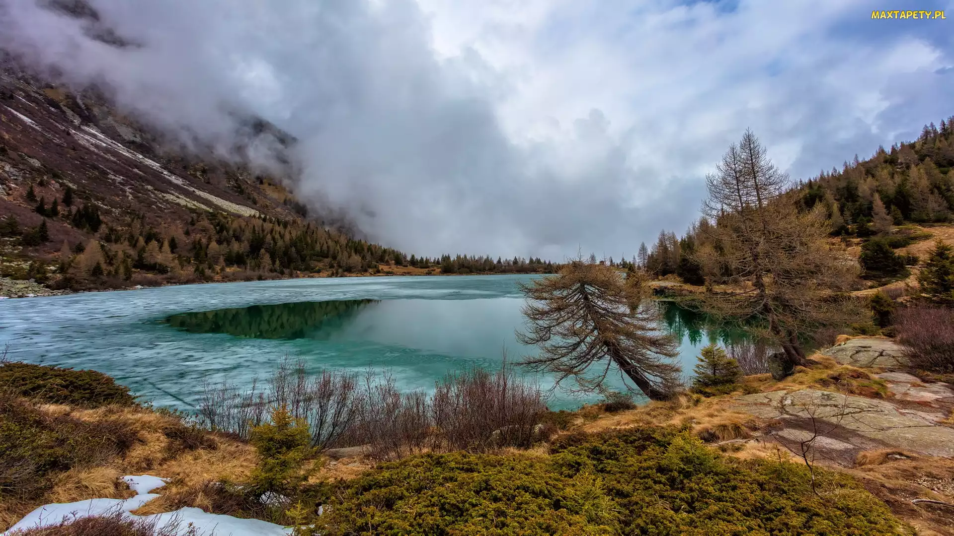 Drzewa, Aviolo Lake, Góry, Mgła, Jezioro, Włochy, Alpy