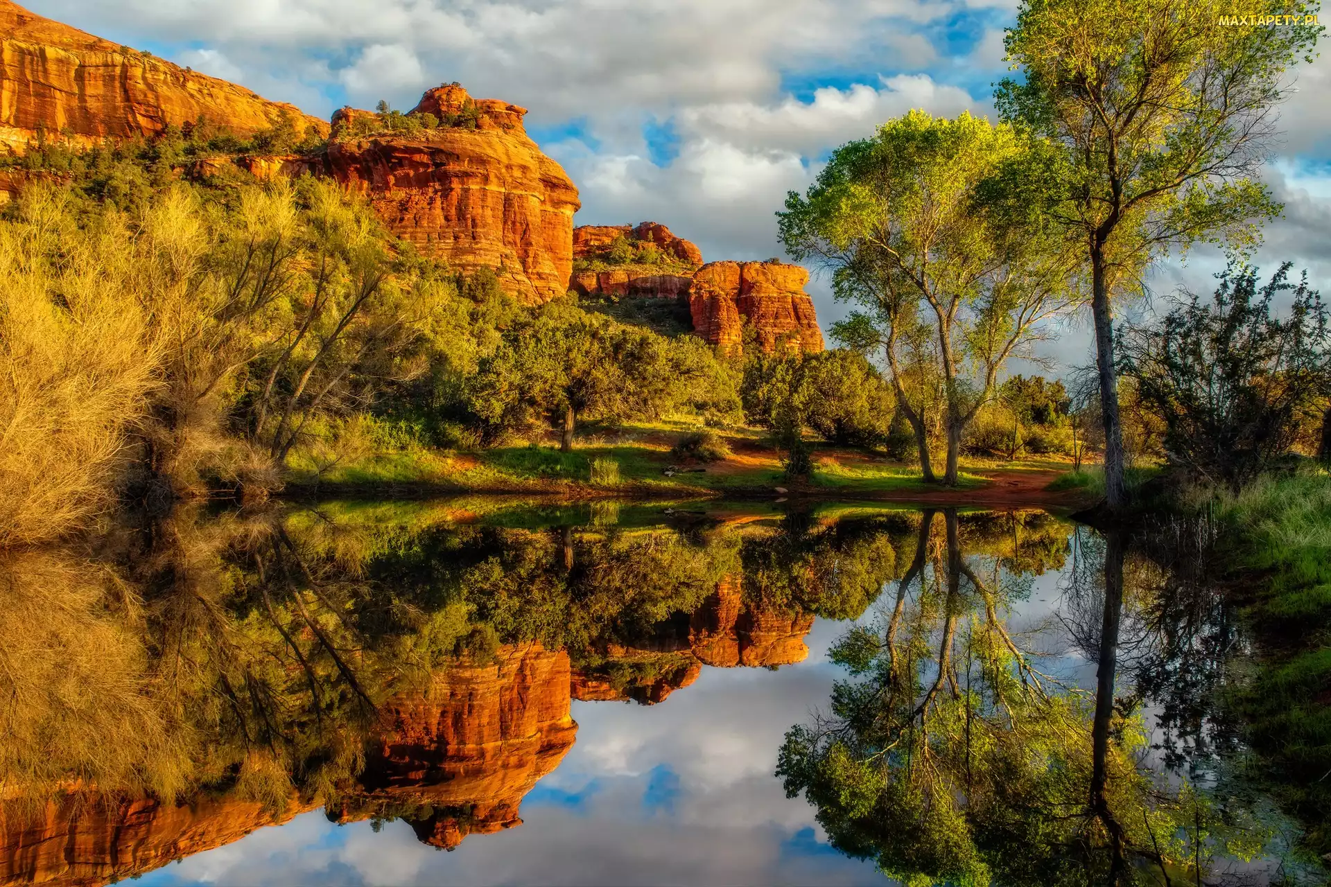 Skały, Drzewa, Cathedral Rock, Rzeka Oak Creek, Arizona, Odbicie, Stany Zjednoczone, Sedona