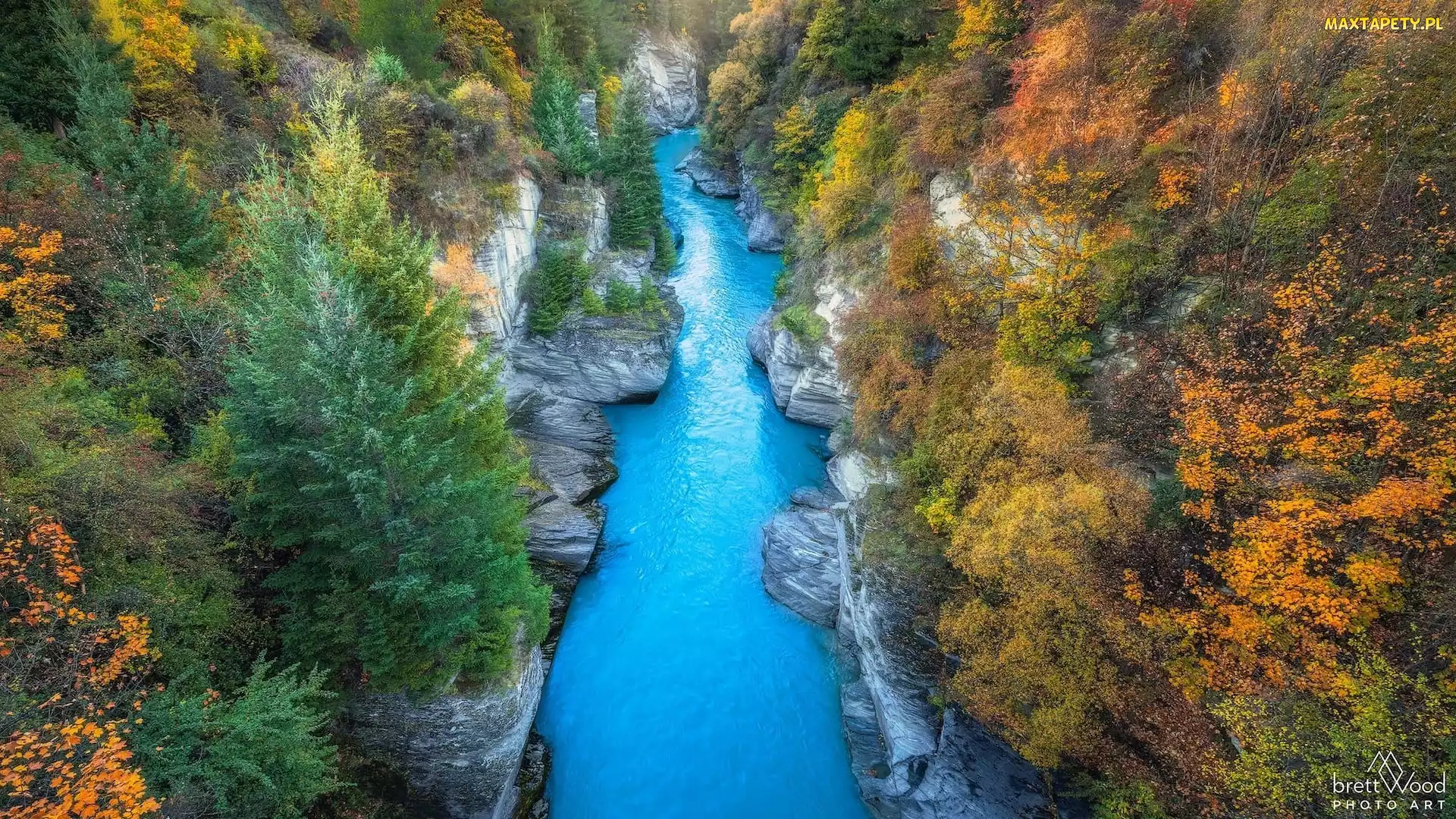 Queenstown, Skały, Nowa Zelandia, Shotover River, Jesień, Rzeka, Drzewa, Wąwóz
