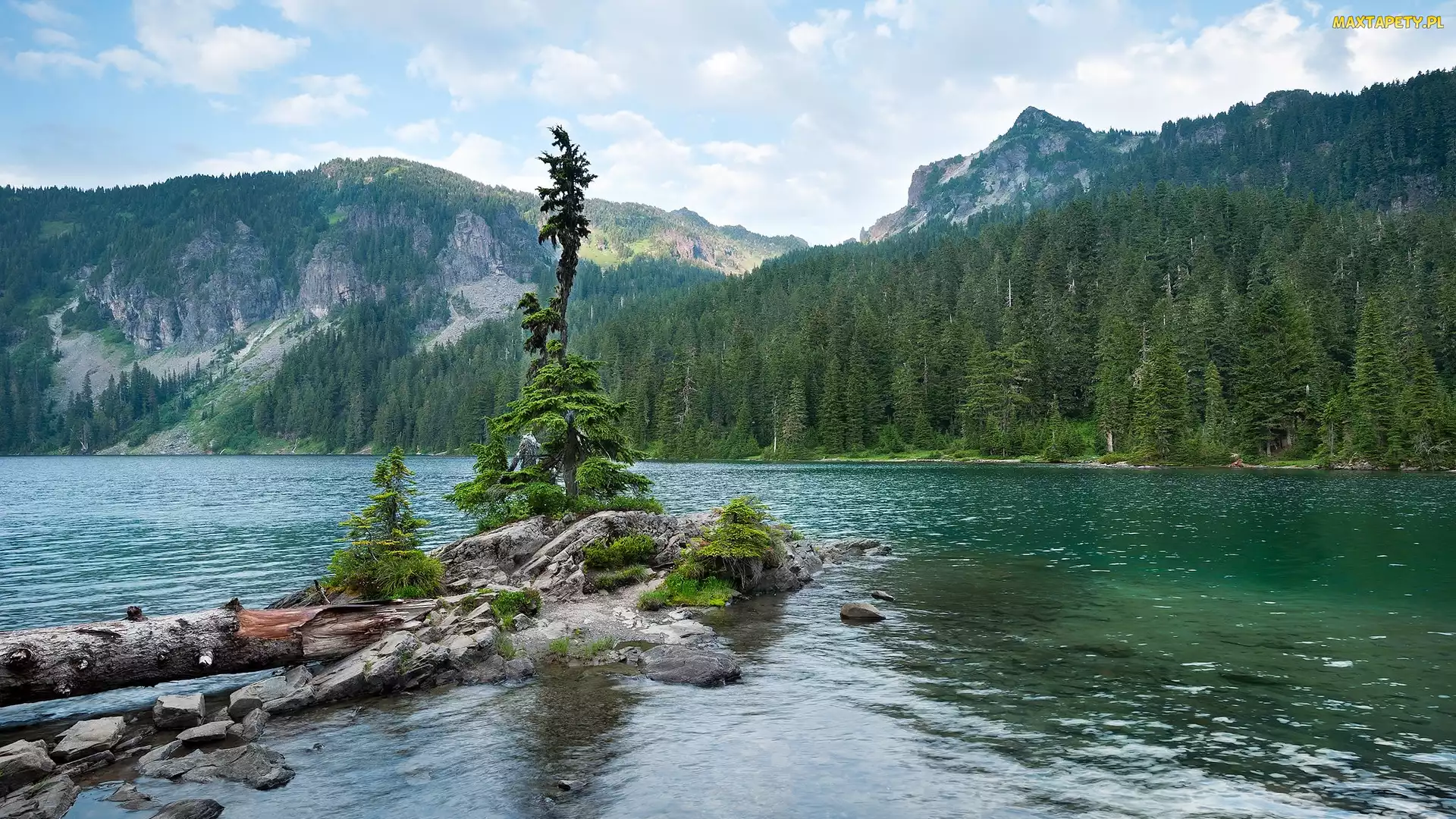 Stan Waszyngton, Park Narodowy Mount Rainier, Jezioro, Stany Zjednoczone, Drzewa, Góry, Mowich Lake