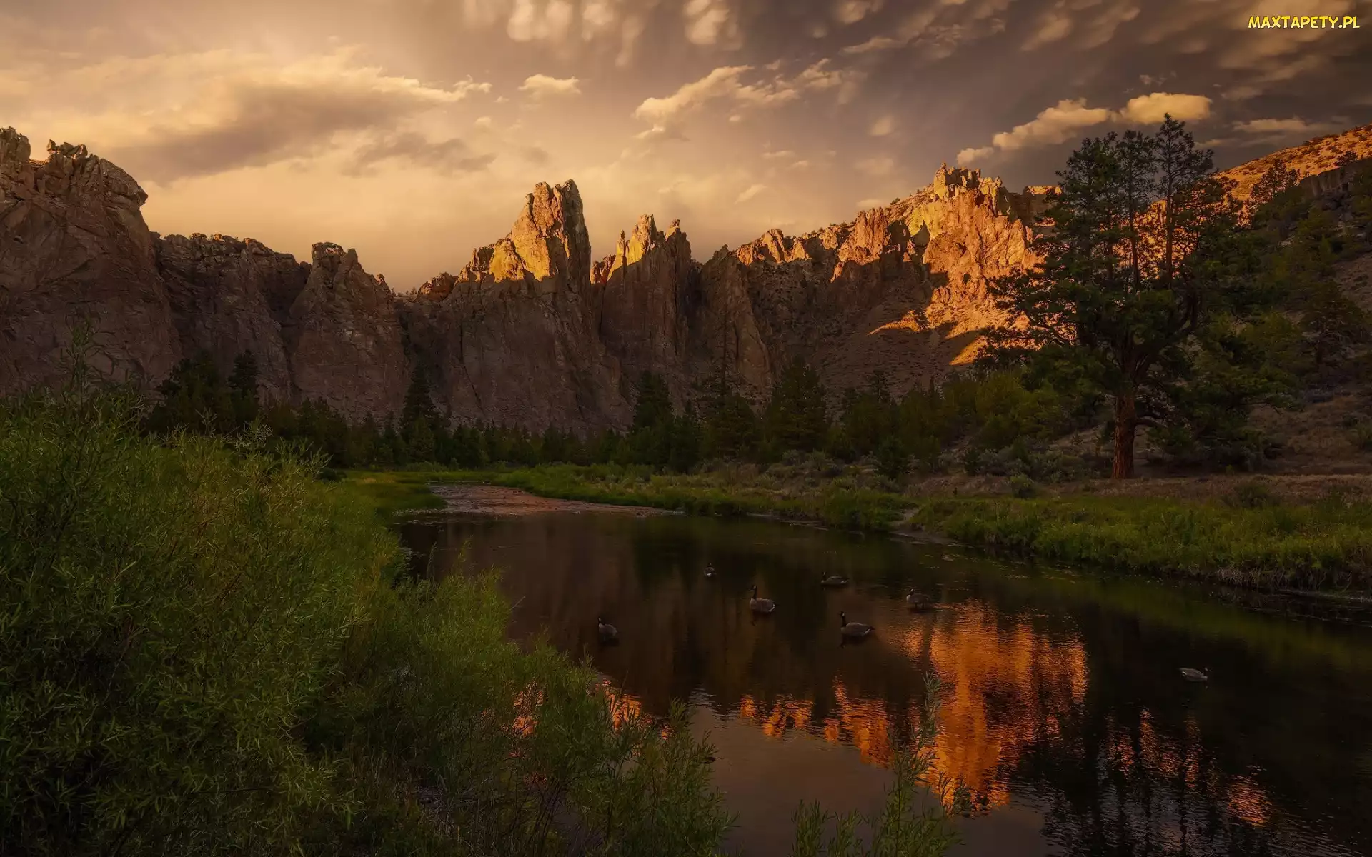 Skały, Oregon, Stany Zjednoczone, Góry, Ptaki, Drzewa, Chmury, Kaczki, Smith Rock, Rzeka, Trawa, Crooked River