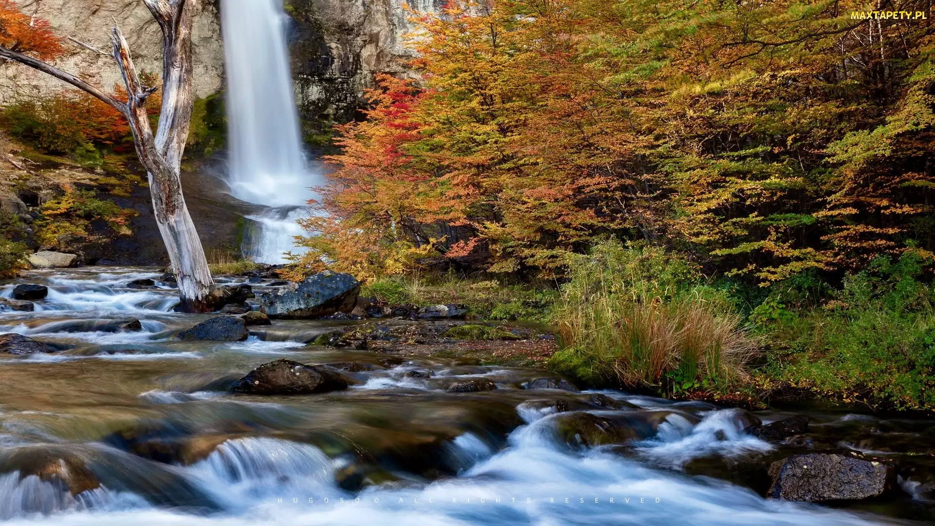 Argentyna, Jesień, Park Narodowy Los Glaciares, Drzewa, Rzeka, Salto do Chorrillo, Patagonia, Skały, Wodospad