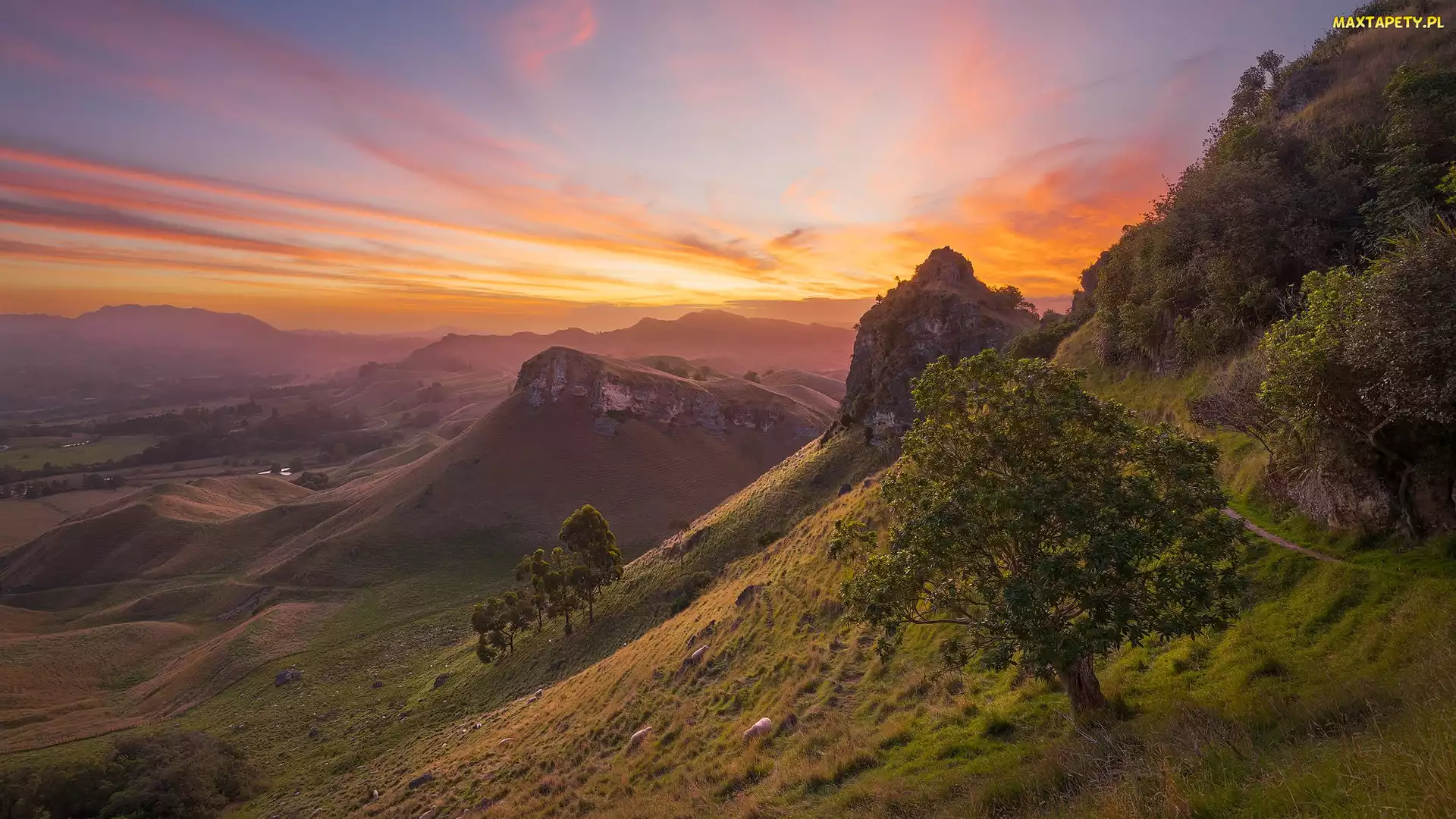 Zachód słońca, Góry, Region Hawkes Bay, Drzewa, Wzgórza, Nowa Zelandia, Góry Te Mata Peak
