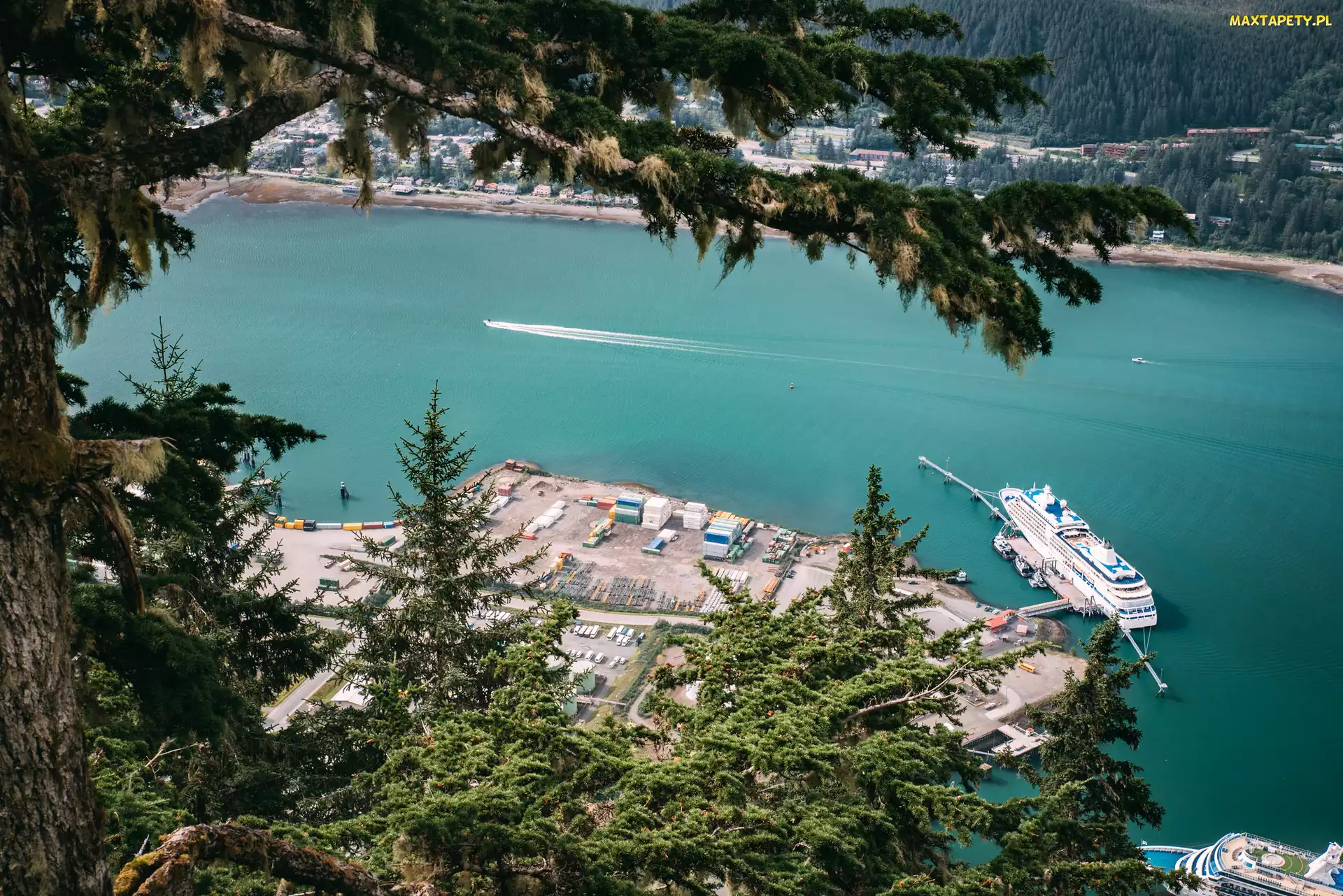 Stany Zjednoczone, Drzewa, Port, Domy, Statek, Kanał Gastineau, Juneau, Alaska, Rzeka