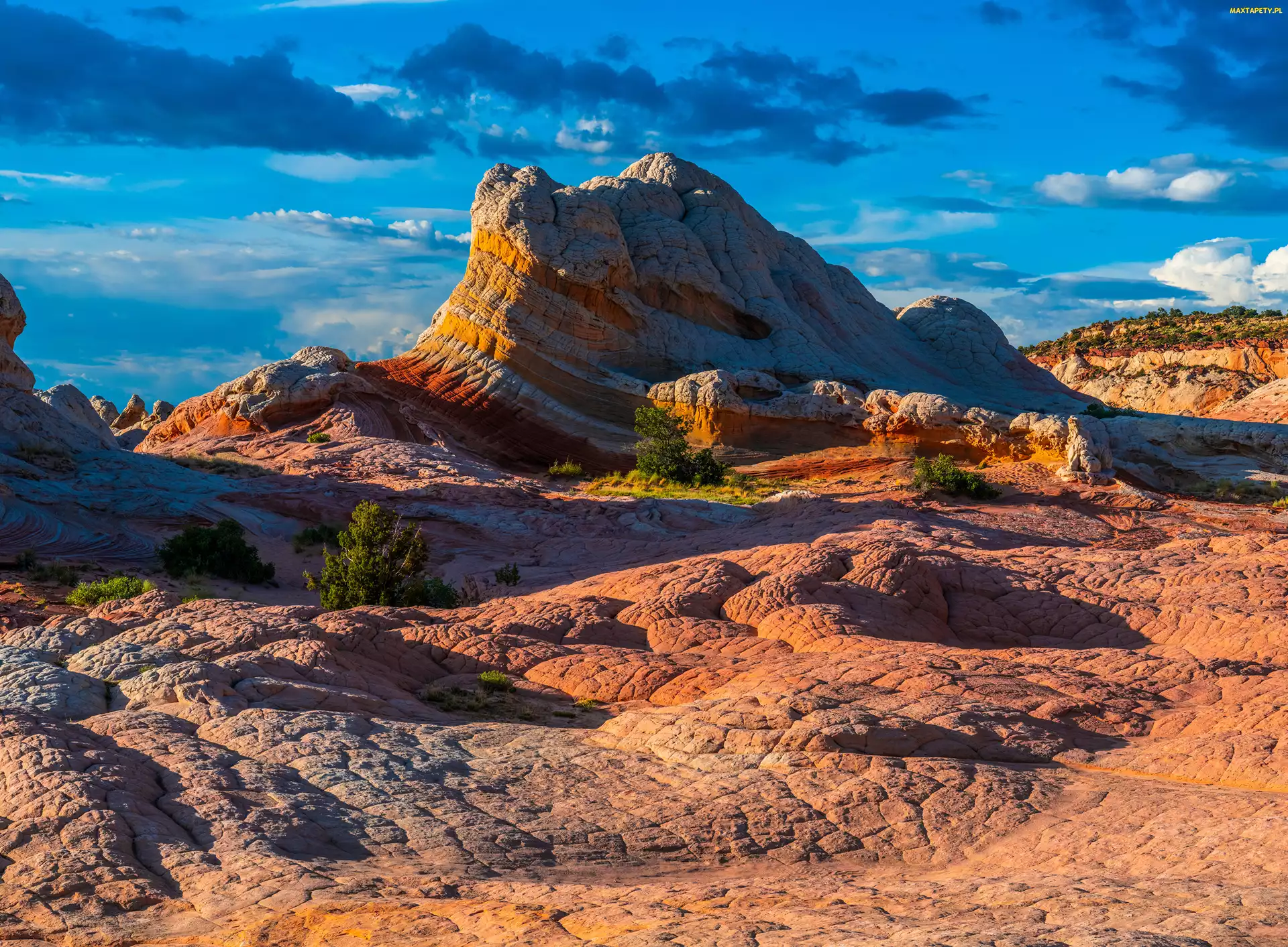 Skały, Pomnik Narodowy Vermilion Cliffs, Stany Zjednoczone, Arizona