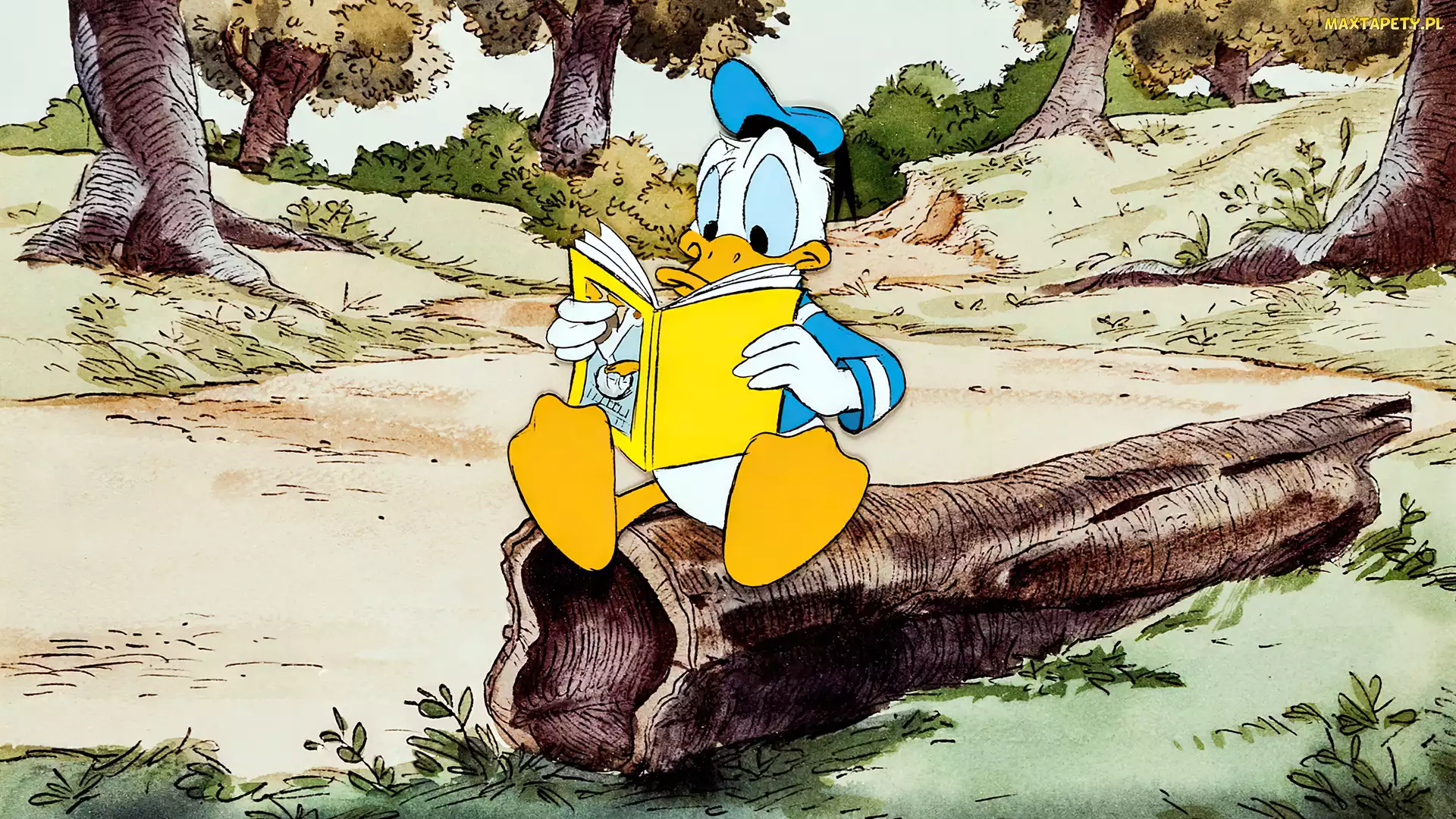 Książka, Kaczor Donald, Serial animowany, Postać