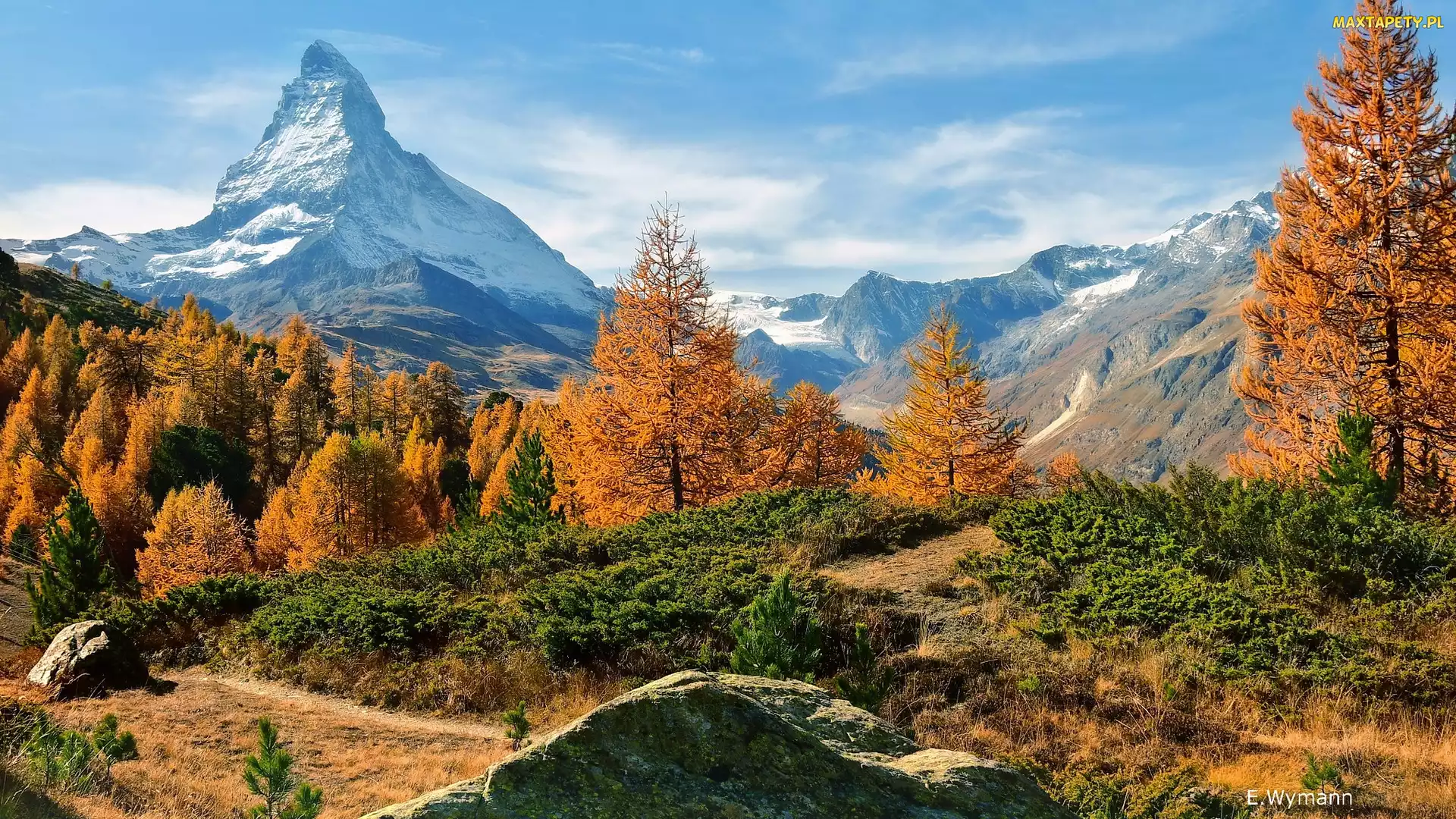 Szwajcaria, Modrzewie, Drzewa, Rośliny, Żółte, Matterhorn, Góra, Alpy Penińskie, Szczyt