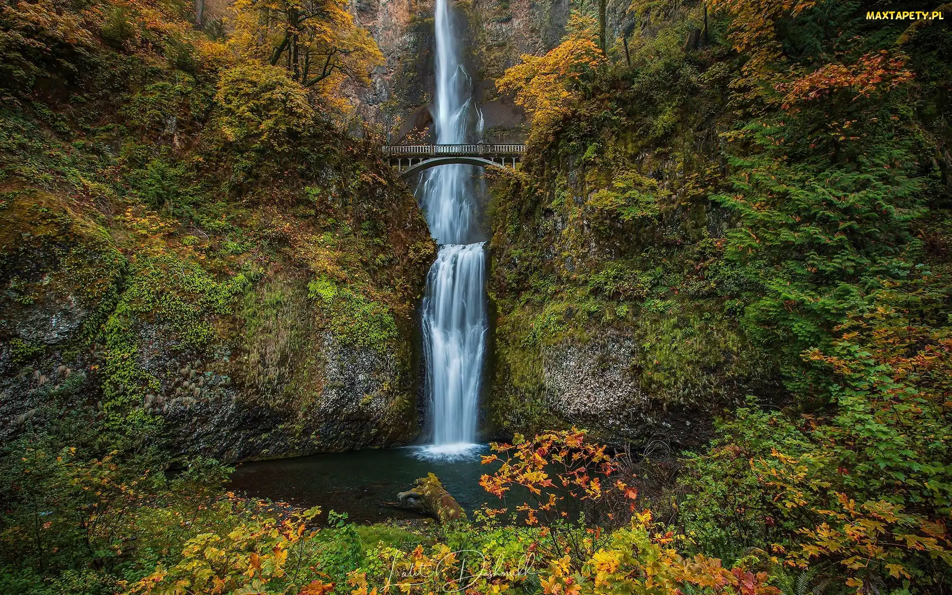 Multnomah Falls, Drzewa, Wodospad, Skały, Oregon, Most, Stany Zjednoczone, Hrabstwo Multnomah