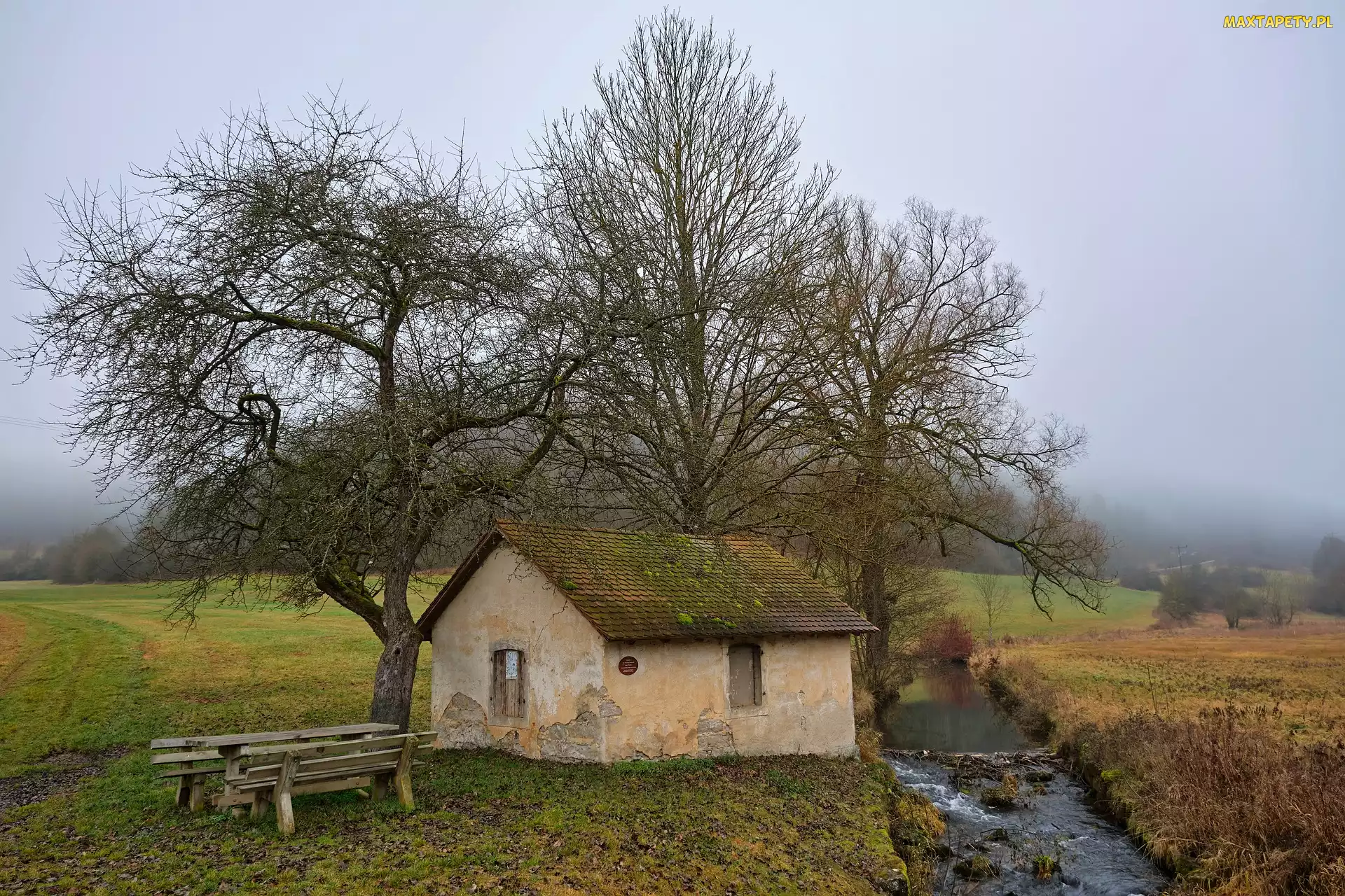 Ławka, Pole, Rzeczka, Drzewa, Dom