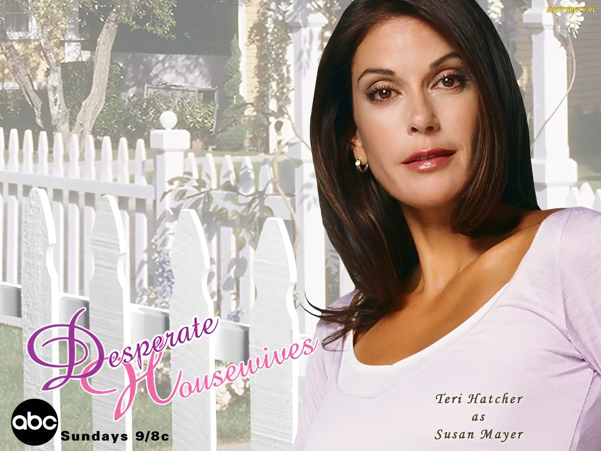 napis, płot, Desperate Housewives, Teri Hatcher