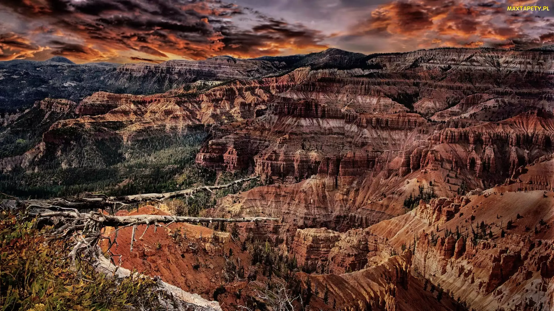 Utah, Bryce Canyon, Niebo, Stany Zjednoczone, Kanion, Kolorowe, Skały