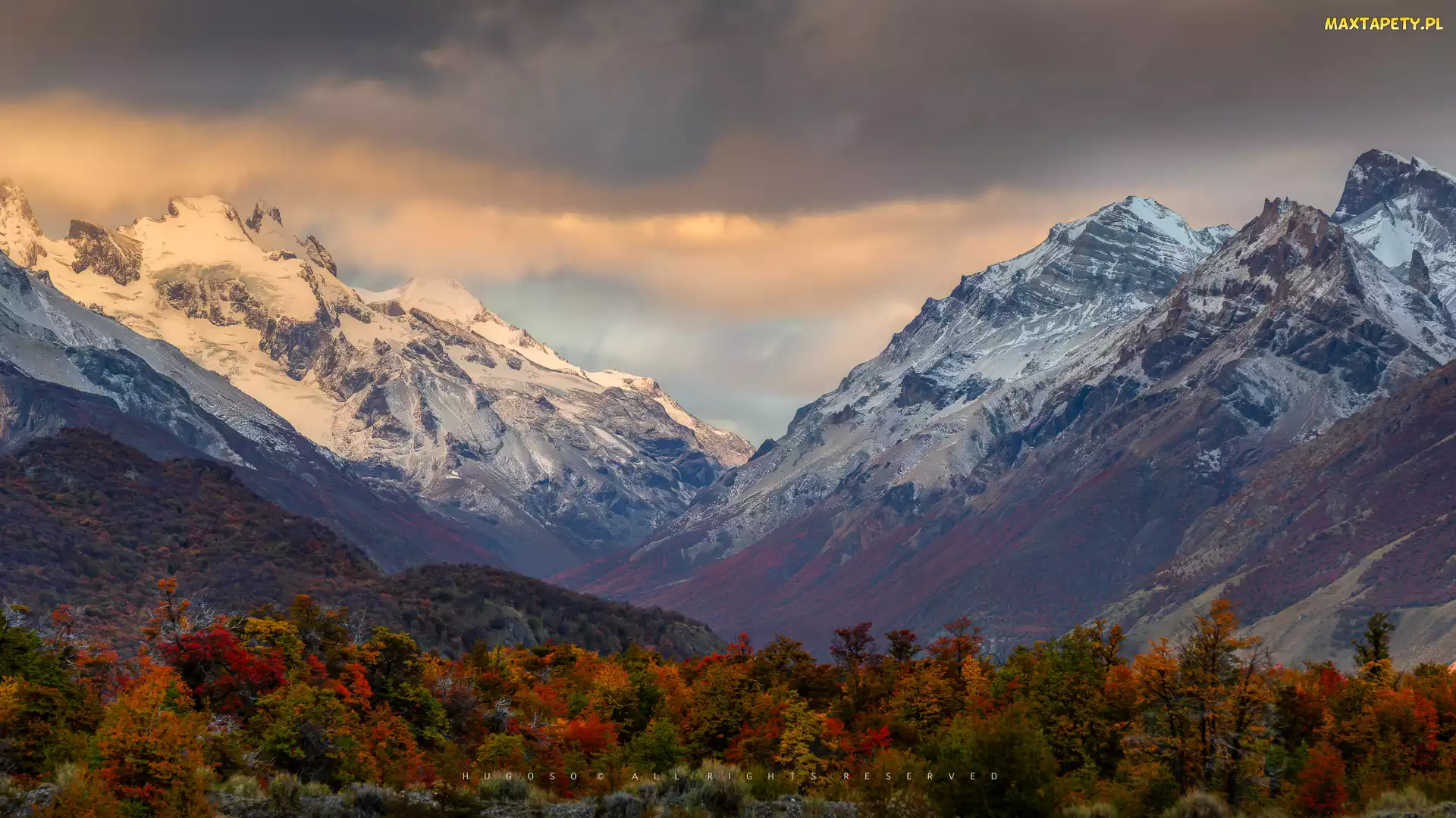 Patagonia, Drzewa, Argentyna, Ośnieżone, Roślinność, Góry, Park Narodowy Los Glaciares, Jesień