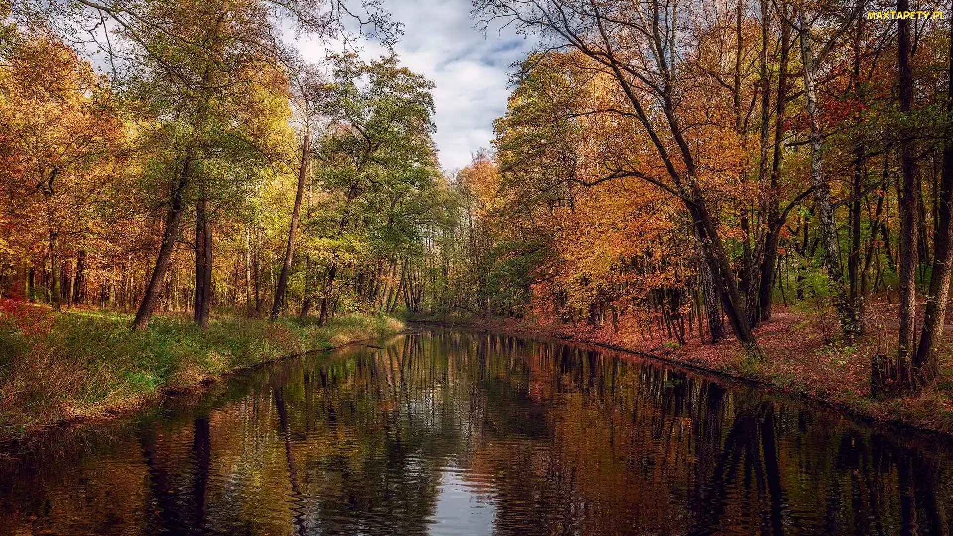 Rzeka, Park, Drzewa, Kolorowe, Jesień