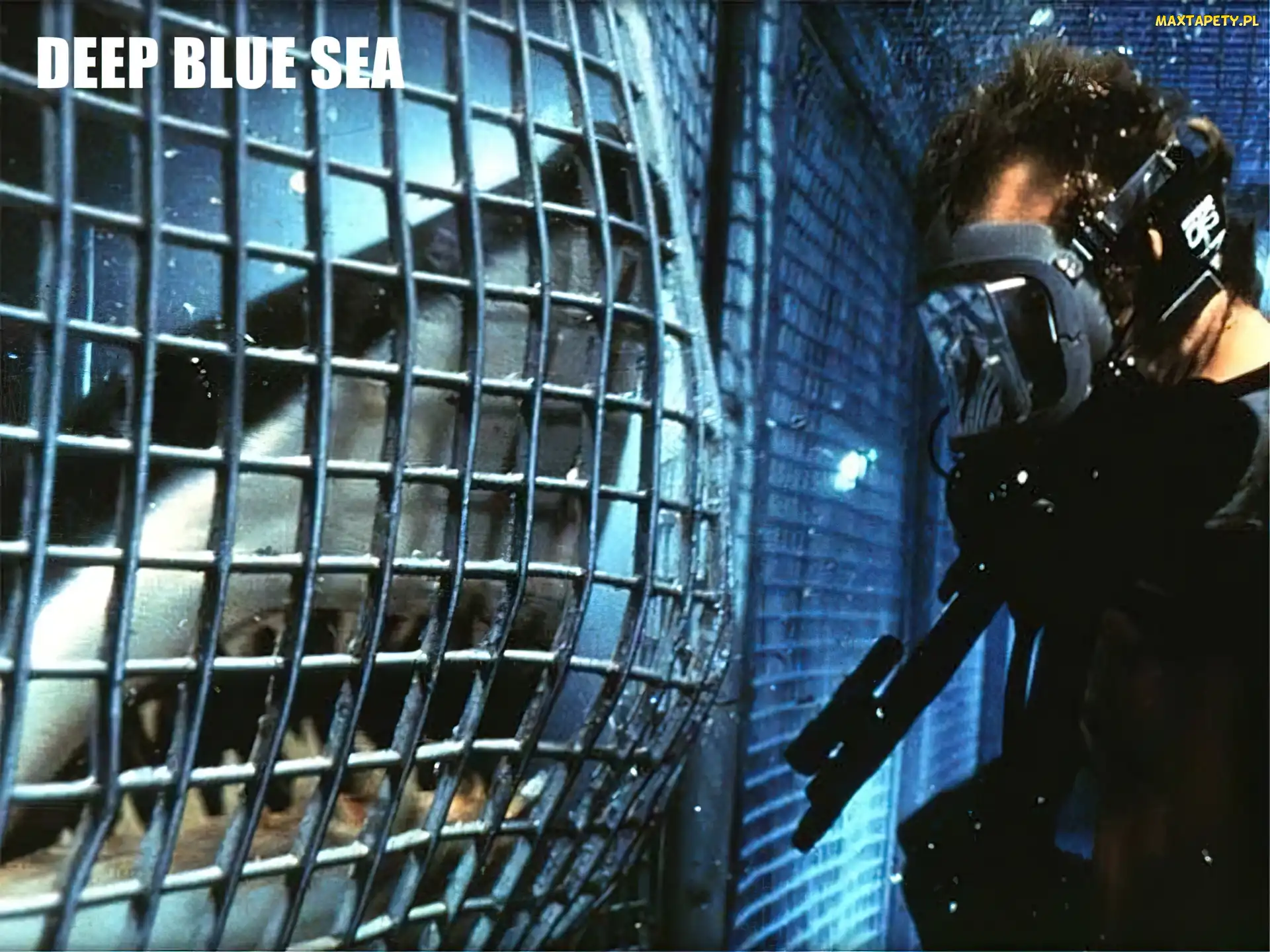 rekin, nurek, Deep Blue Sea