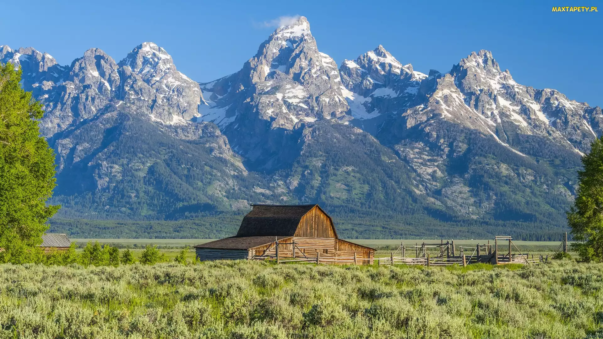 Stany Zjednoczone, Park Narodowy Grand Teton, Chmury, Stan Wyoming, Stodoła, Chata, Góry, Teton Range, Drewniana, Drzewa