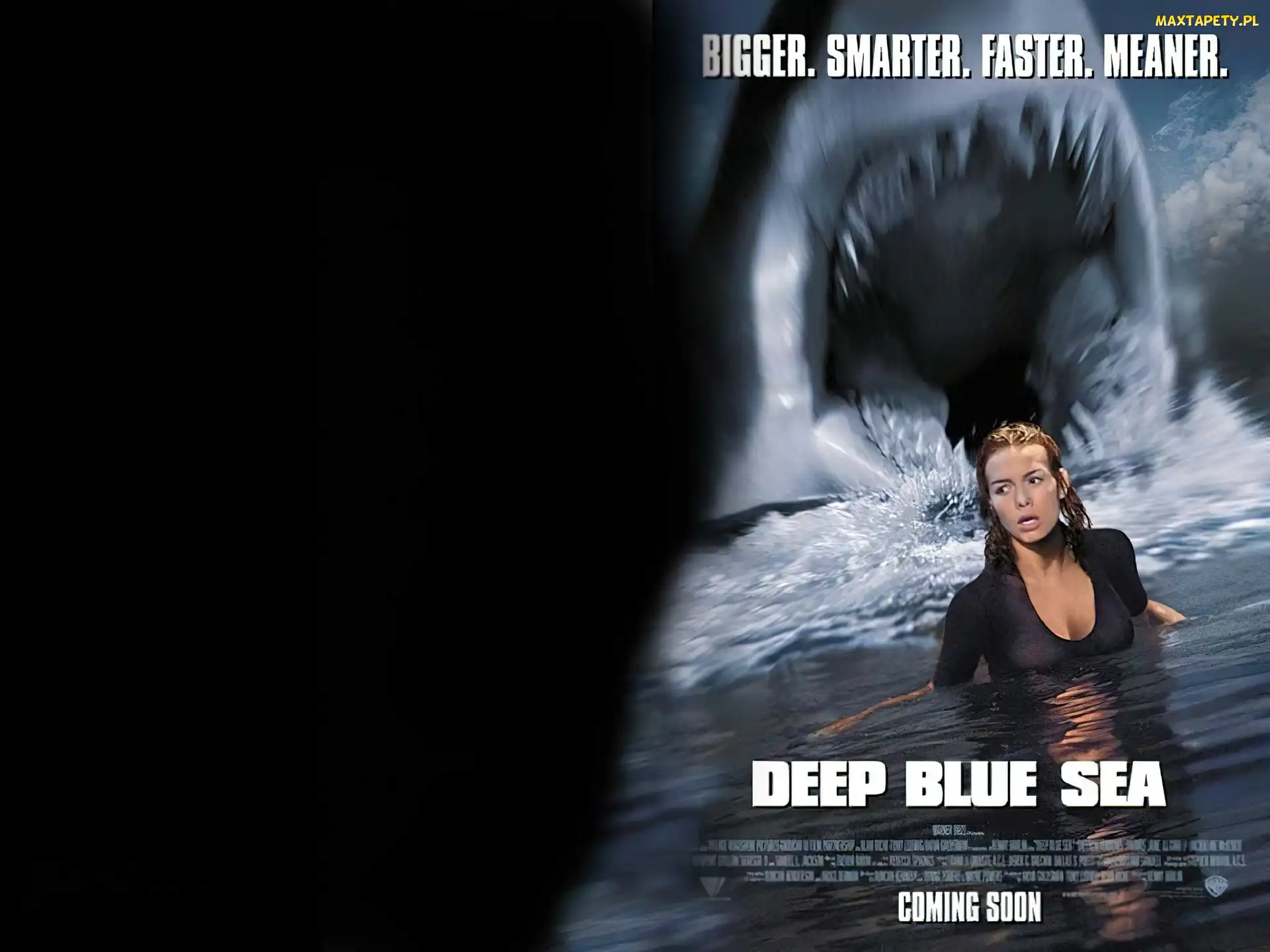 kobieta, rekin, Deep Blue Sea, woda