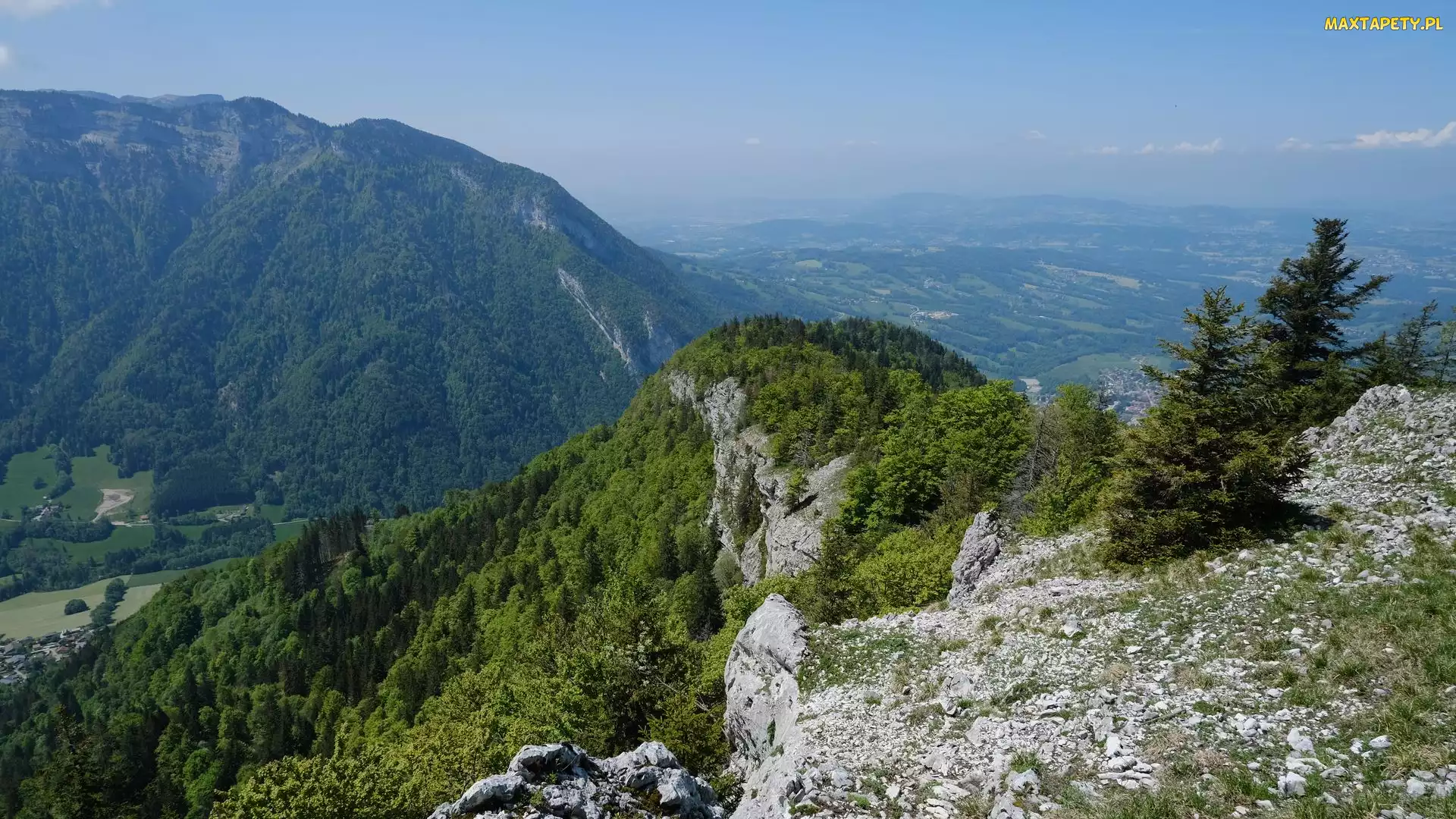 Las, Skały, Kamienie, Drzewa, Góry