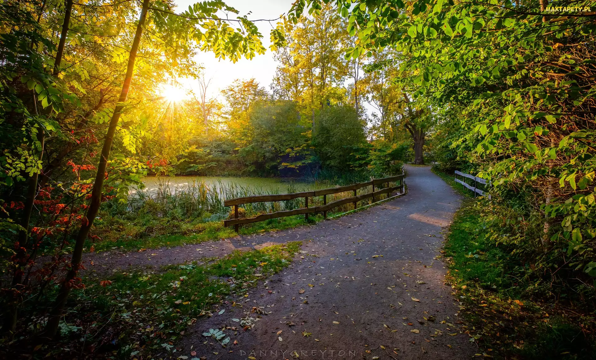 Staw, Ogrodzenie, Park, Droga