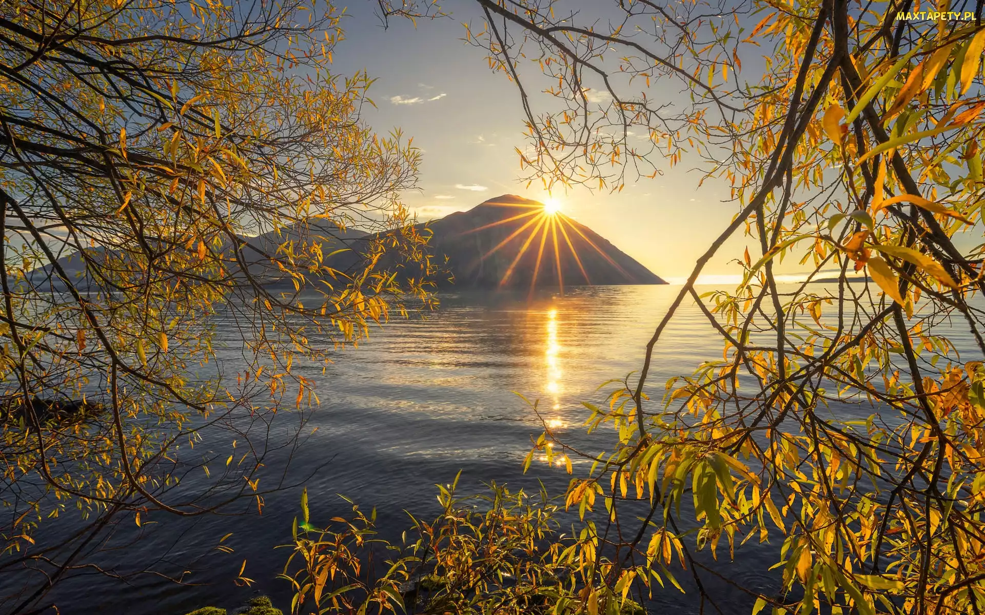 Jezioro, Gałęzie, Nowa Zelandia, Jesień, Ben Ohau, Ohau Lake, Promienie słońca, Góry