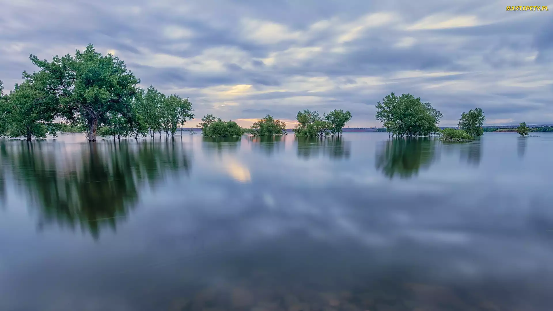 Chatfield Lake, Jezioro, Kolorado, Drzewa, Chatfield State Park, Stany Zjednoczone, Park stanowy