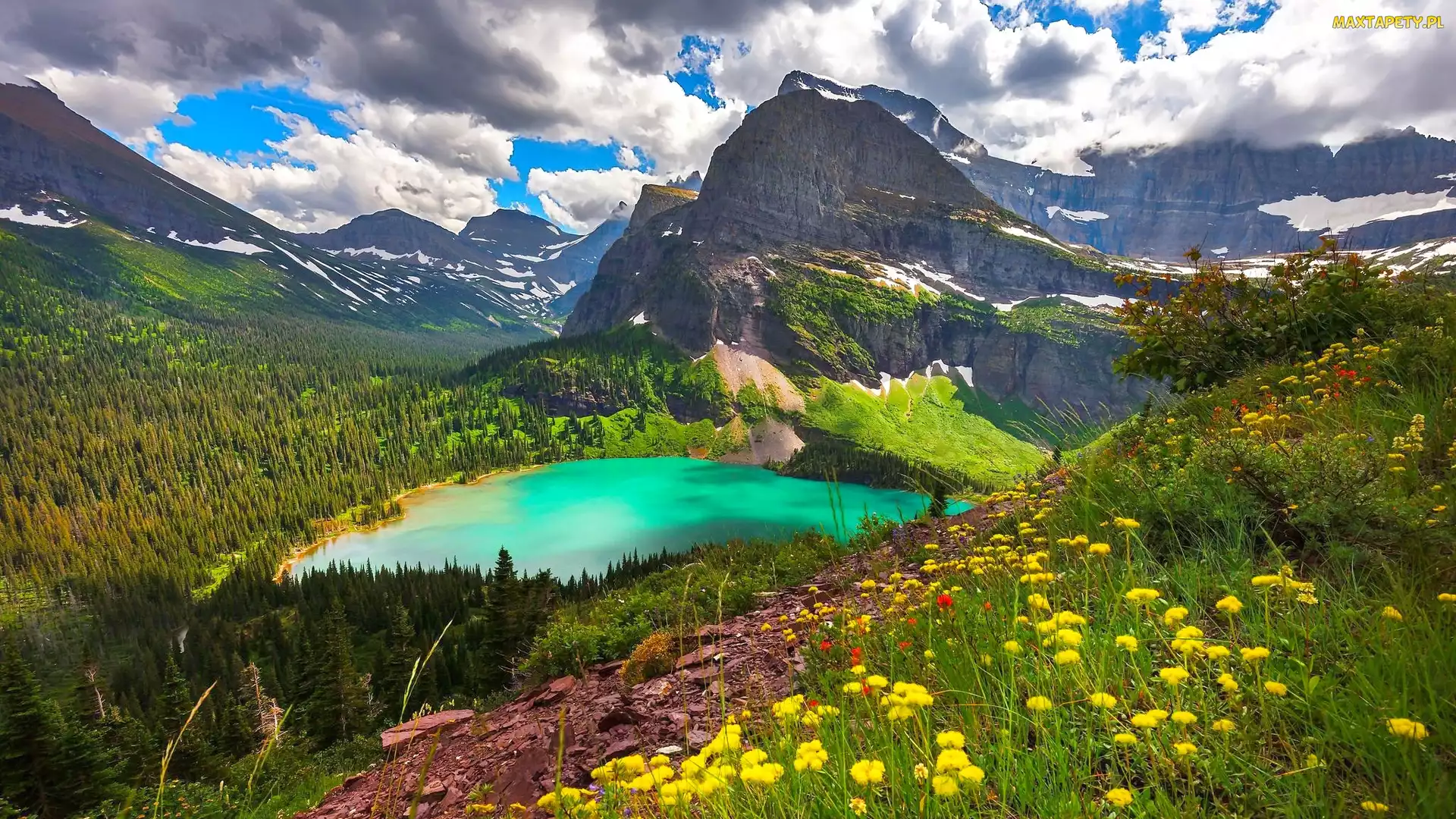 Stany Zjednoczone, Park Narodowy Glacier, Chmury, Montana, Grinnell Lake, Jezioro, Kwiaty, Drzewa, Góry, Las