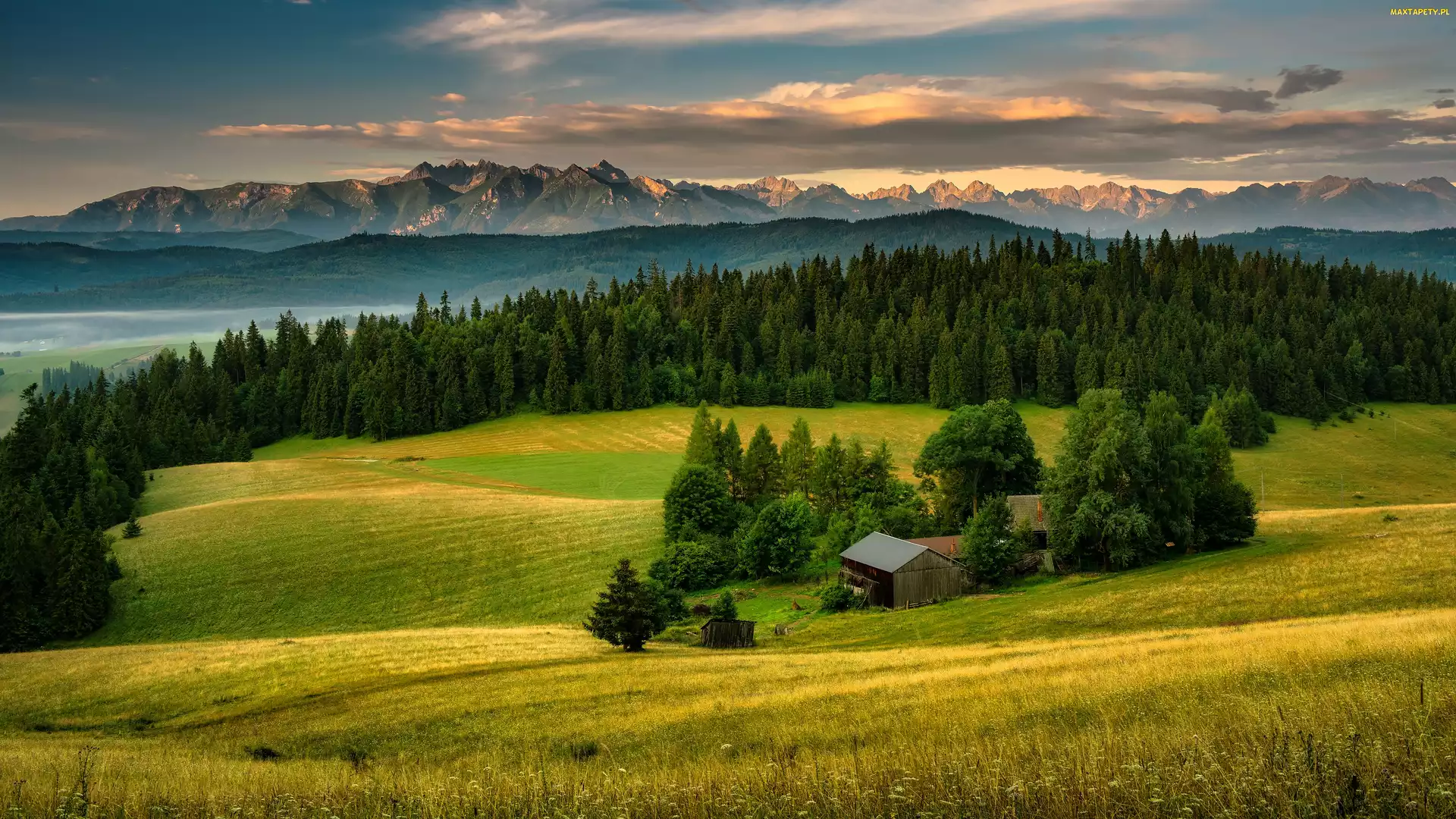 Pole, Pieniny, Dom, Polska, Chmury, Wzgórza, Las, Drzewa, Góry