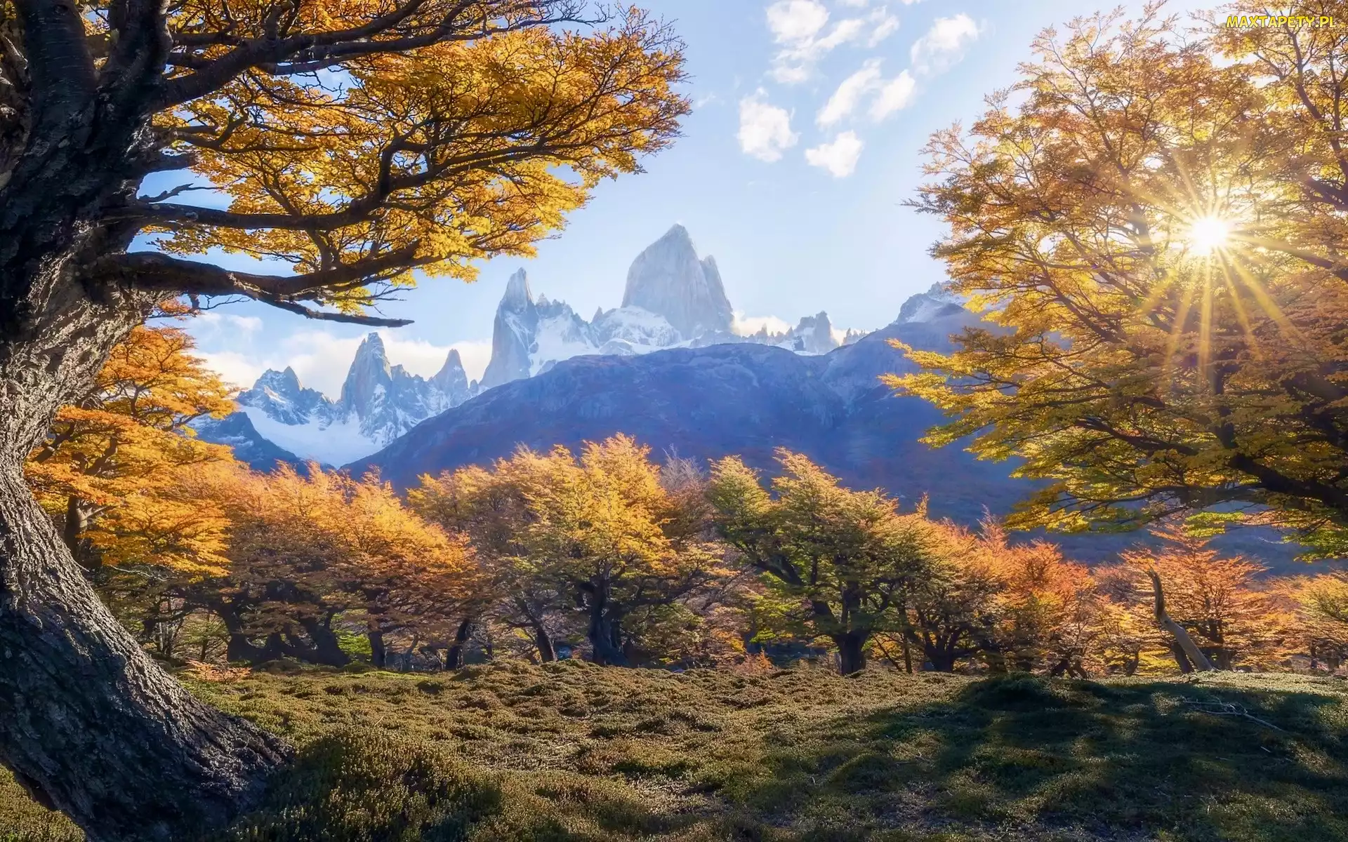 Drzewa, Jesień, Patagonia, Promienie słońca, Fitz Roy, Argentyna, Góry